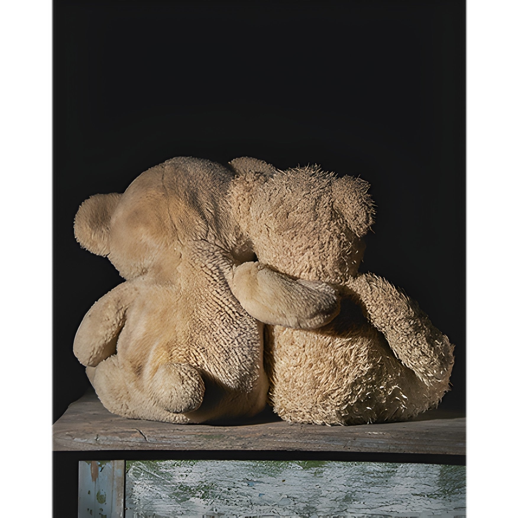 Teddy Bears as Emotional Support: Dive into the World of Teddy Bear Therapy