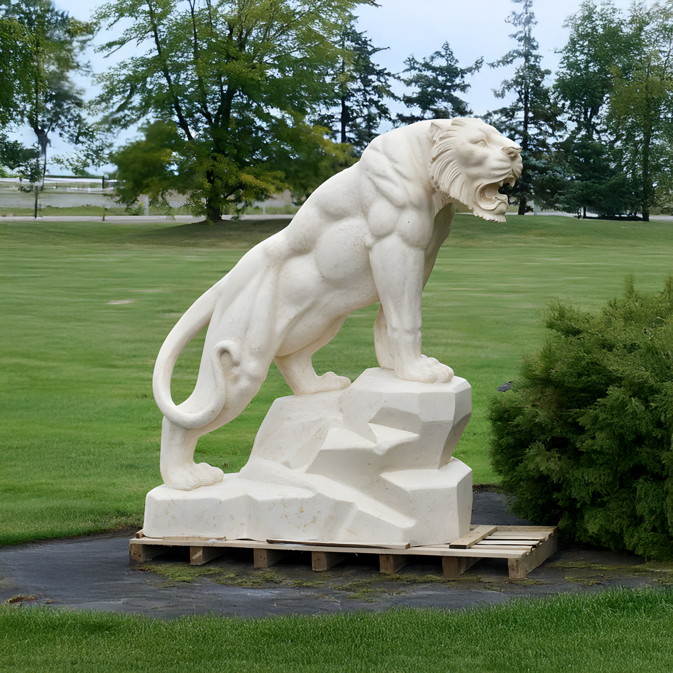 The Roaring Rock Tiger Marble Outdoor Sculpture by Giant Sculptures stands majestically on a rocky base atop a wooden pallet in a grassy area with trees, under a cloudy sky. This 150cm hand-carved marble piece features the grandeur of a large, muscular white lion.