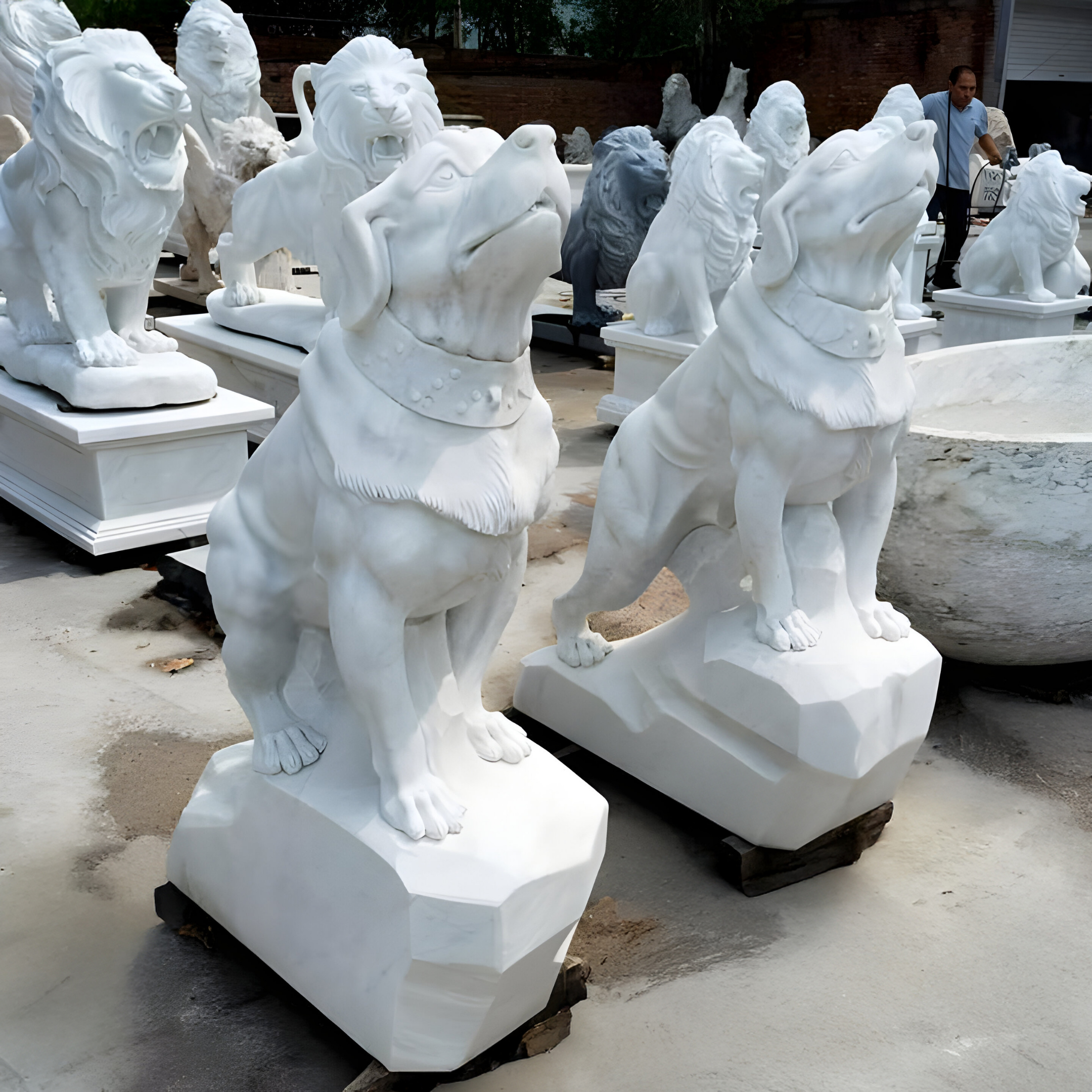 Two Watchful Guardian Dog Marble Outdoor Sculptures, 120cm tall by Giant Sculptures, on pedestals amid lion statues outside. A person in the background seems to be admiring these majestic sculptures.