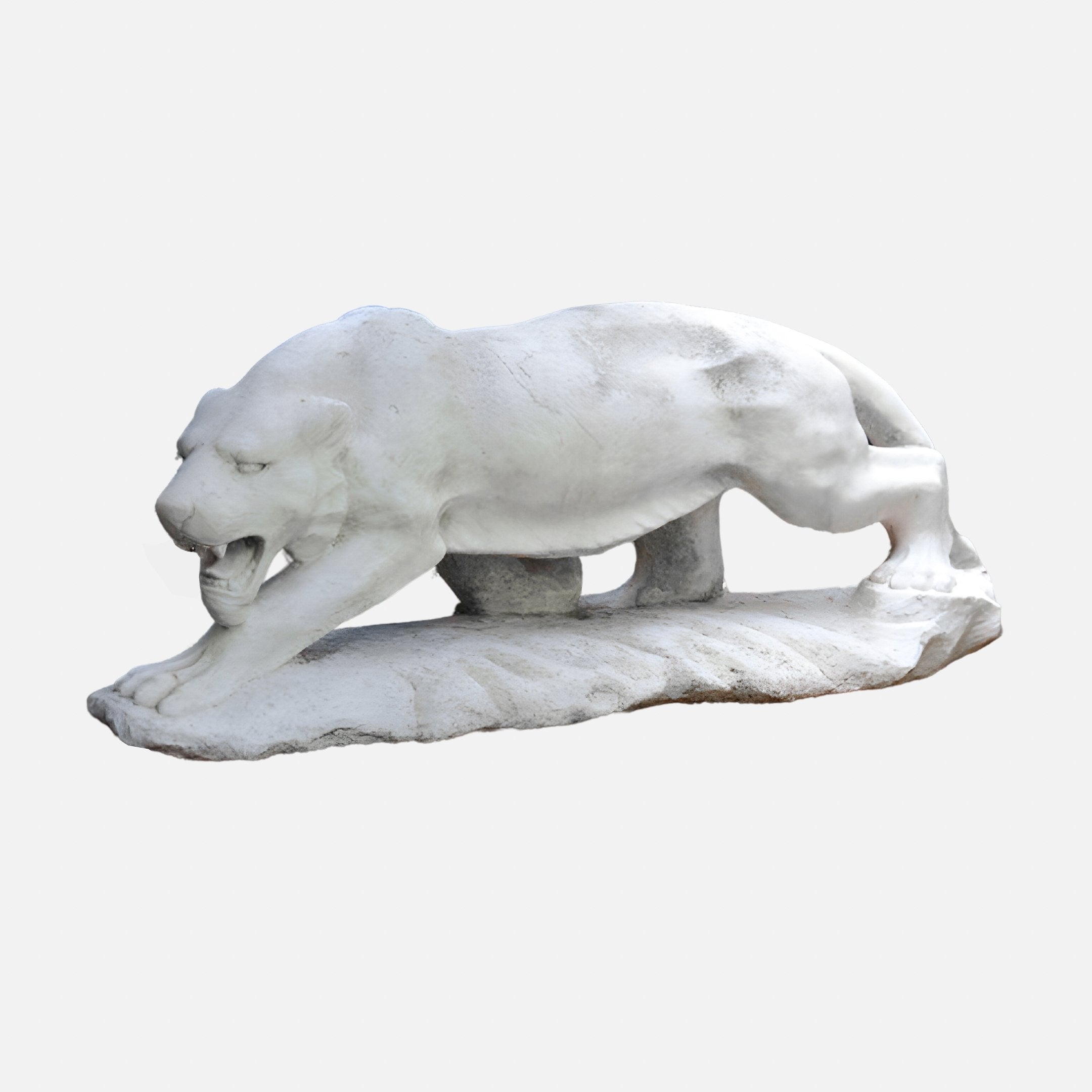 The Prowling Panther Marble Outdoor Sculpture - 65cm from Giant Sculptures features a white marble panther with an intense expression and sharp teeth. This detailed carving beautifully captures its muscular body, making it an exquisite garden art piece against any plain backdrop.