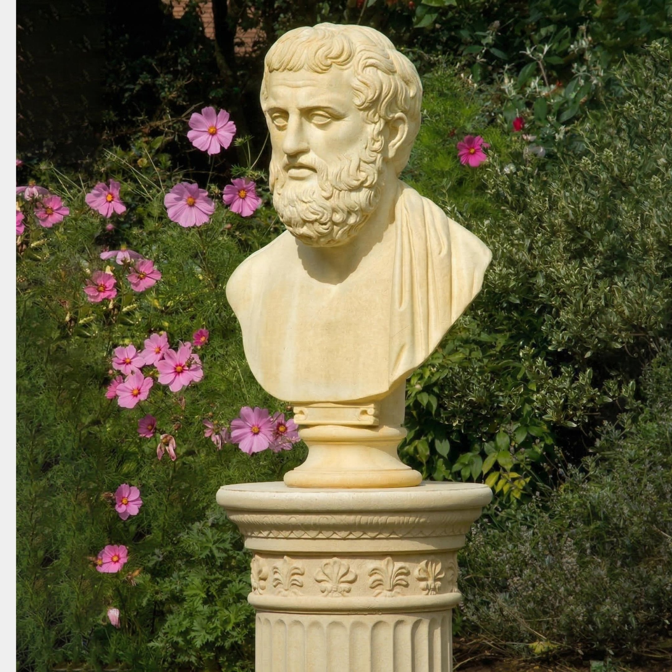 The Plato Marble Bust Sculpture - 55cm by Giant Sculptures, crafted from cream marble, is showcased on an ornate pedestal in a garden with blooming pink flowers and lush greenery.