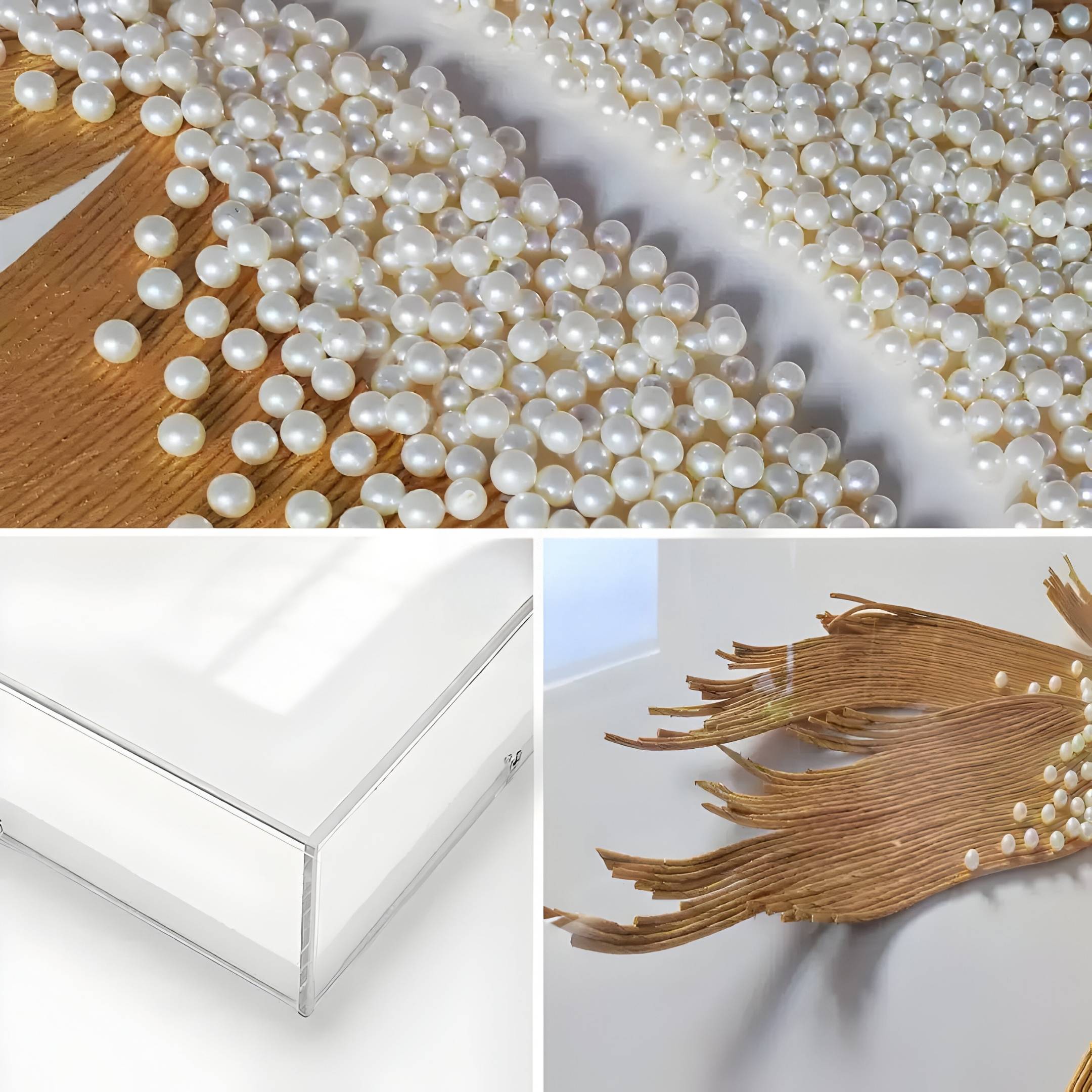 A collage shows Giant Sculptures’ Lirien Twin Pearl Fronds Gold Sculptural 3D Wall Art with close-up white pearls on textured wooden fronds, a clear acrylic box, and soft botanical accents over a white background.
