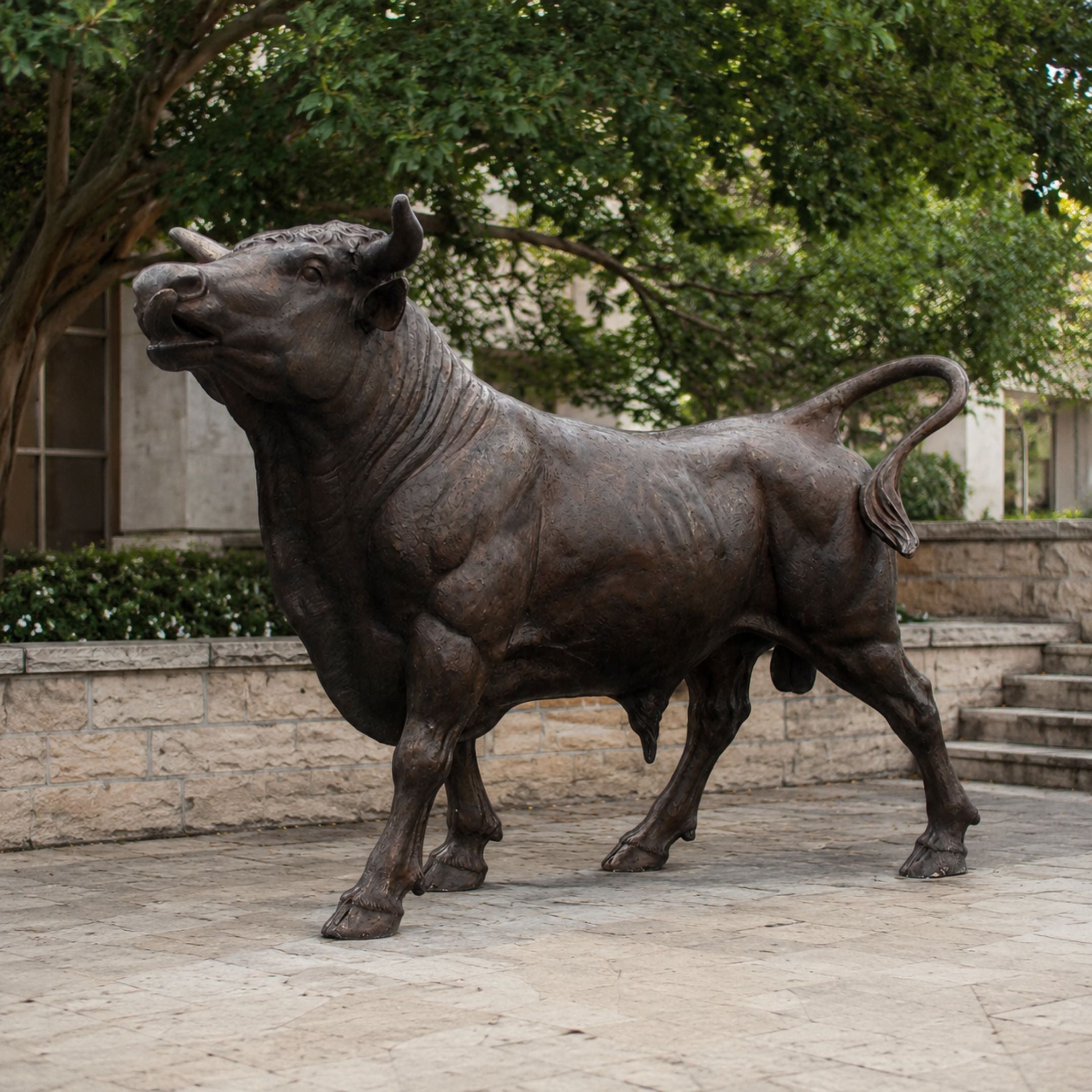 Life-Size Traditional Bull Bronze Sculpture by Giant Sculptures shown outdoors on stone paving, head raised and tail curled, with trees and a building behind.