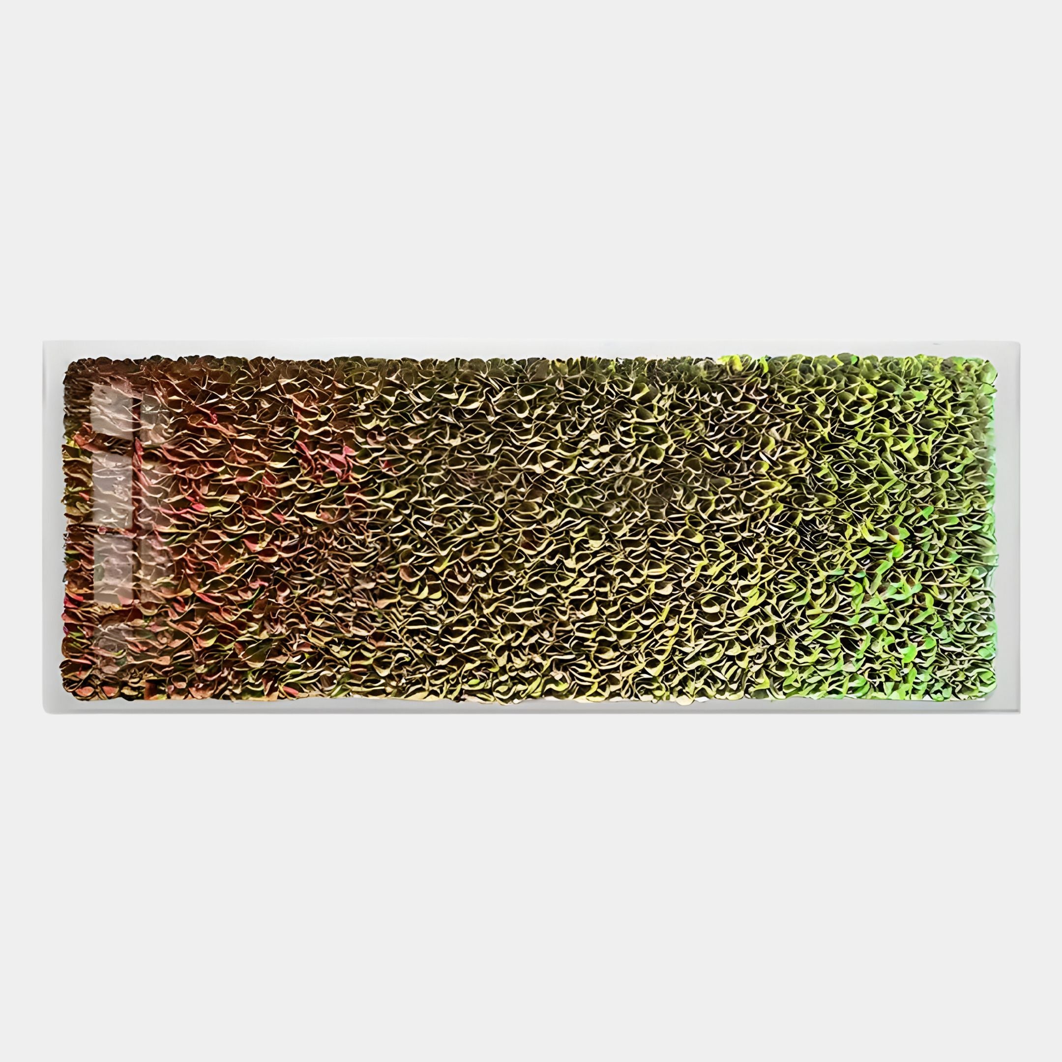 The Chromatica Rectangular Radiant Red & Gold Paper 3D Wall Art by Giant Sculptures features expert paper craftsmanship with curled pieces shifting from radiant red to gold. Light reflects off its textured surface, enhancing its vibrant beauty.