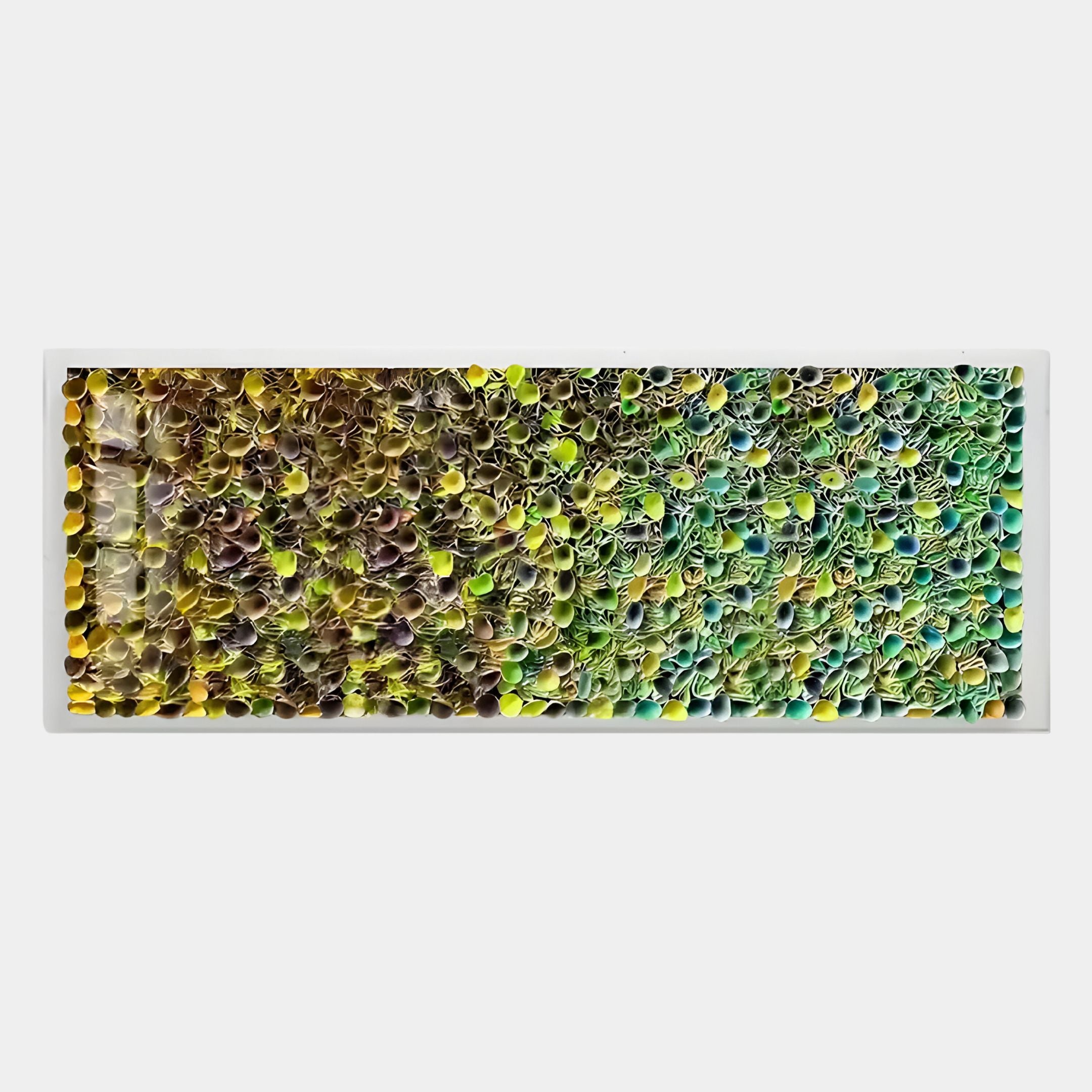 The Chromatica Rectangular Vibrant Green Rolled Paper 3D Wall Art by Giant Sculptures features tightly packed, curled paper in green, yellow, and brown, creating a textured look—ideal for modern interiors.