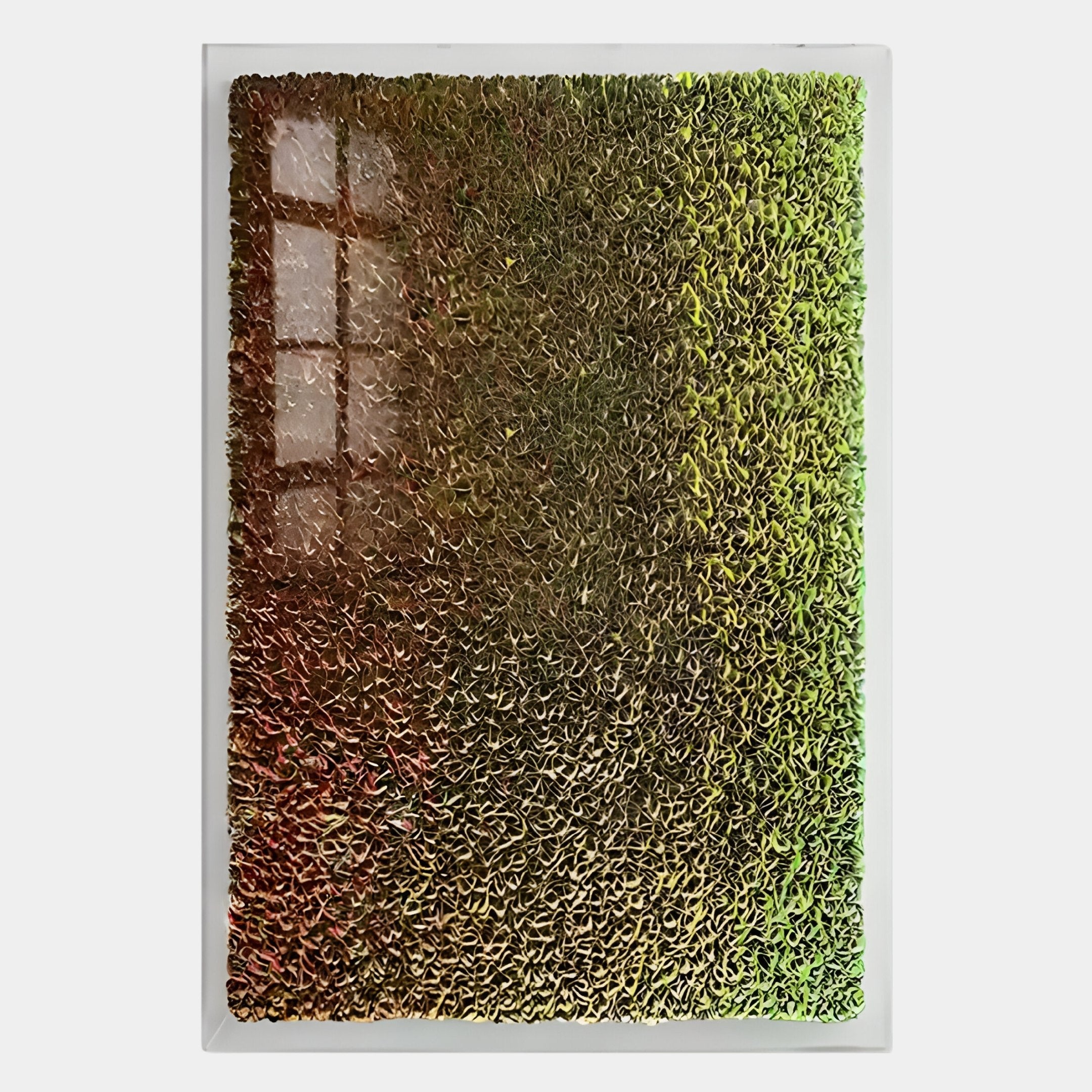 The Chromatica Vertical Radiant Red & Gold Paper 3D Wall Art by Giant Sculptures features dense, textured red and gold loops in a striking abstract design—an eye-catching framed piece ideal for modern wall décor.