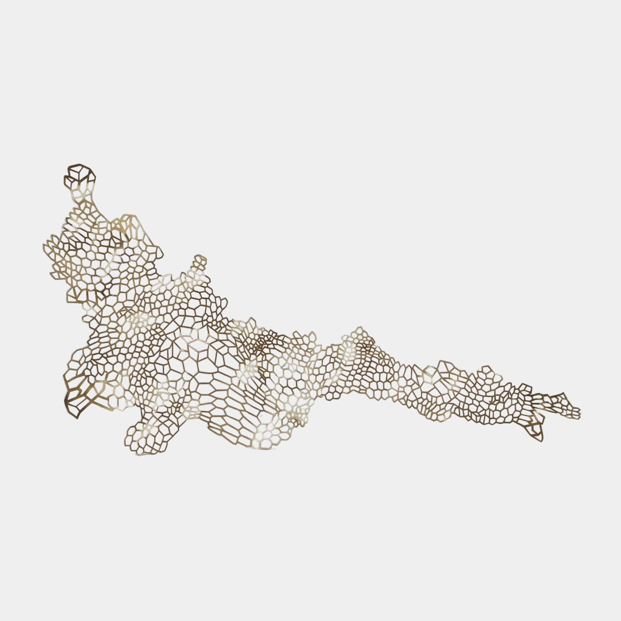 Gold Wire Honeycomb Fish Wall Art Sculpture - 370cm