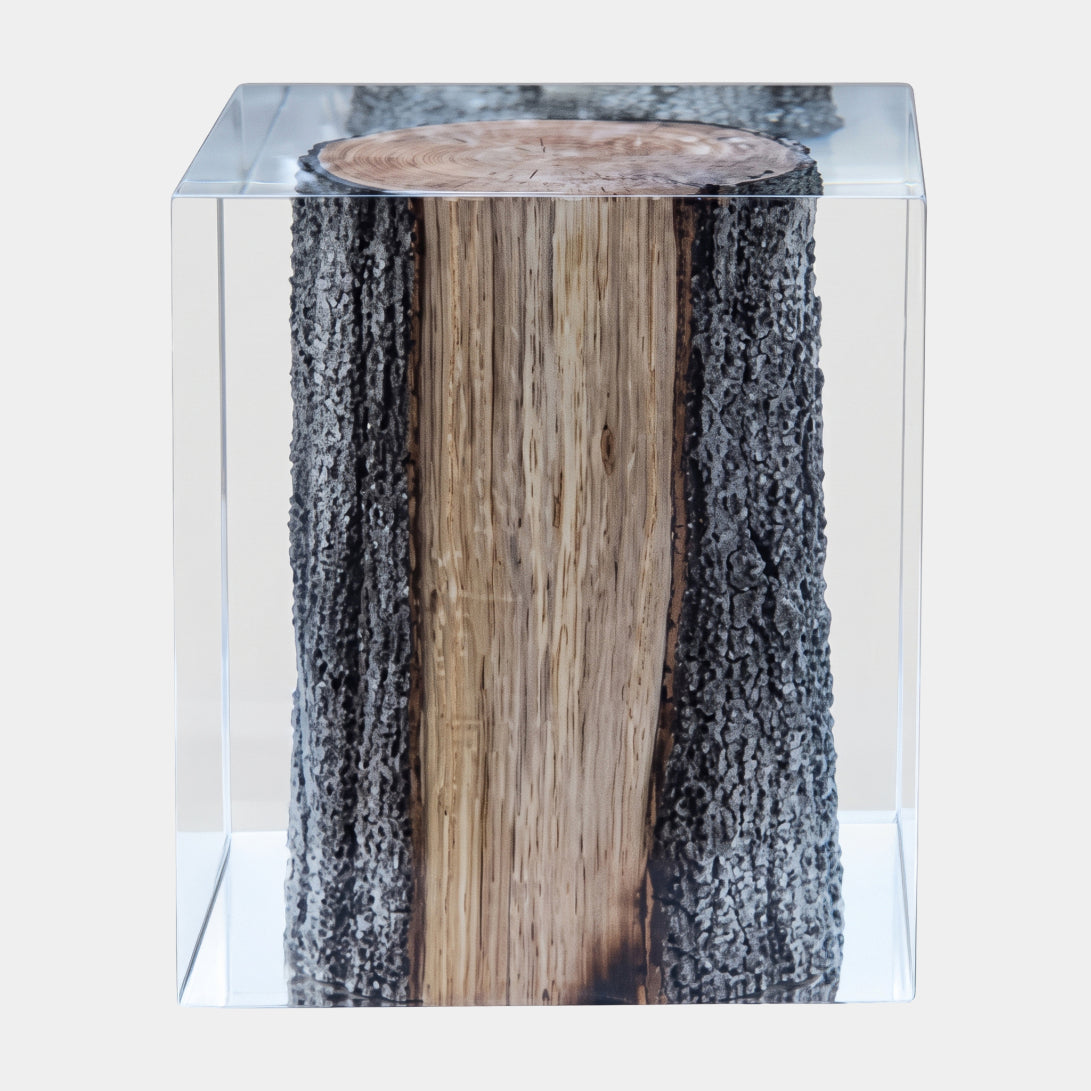 Giant Sculptures' Brown Bark & Sapwood Log Resin Block, 45cm, embedded in a clear resin cube showing dark ridged bark, pale sapwood, and cut rings, on a plain white background.