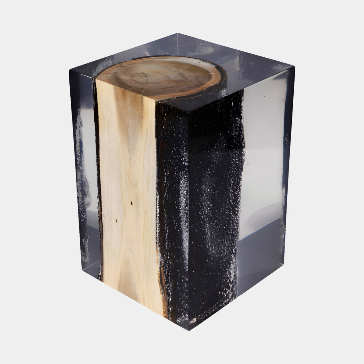 Clear Half-Bark Log Resin Sculpture - 45cm by Giant Sculptures, cream timber and black bark log encased in clear resin, shown against a plain white background.