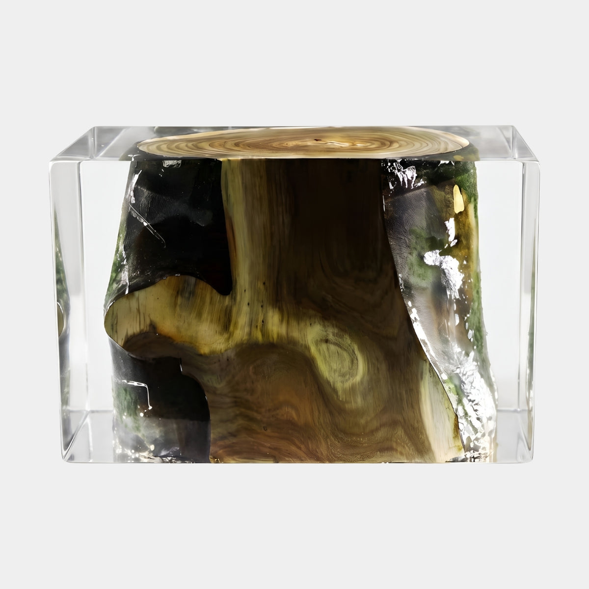 Clear Mossed Stump Resin Sculpture (60cm) by Giant Sculptures, a clear resin block encasing a wide stump with mossy dark bark and olive-gold heartwood, on a plain white background.