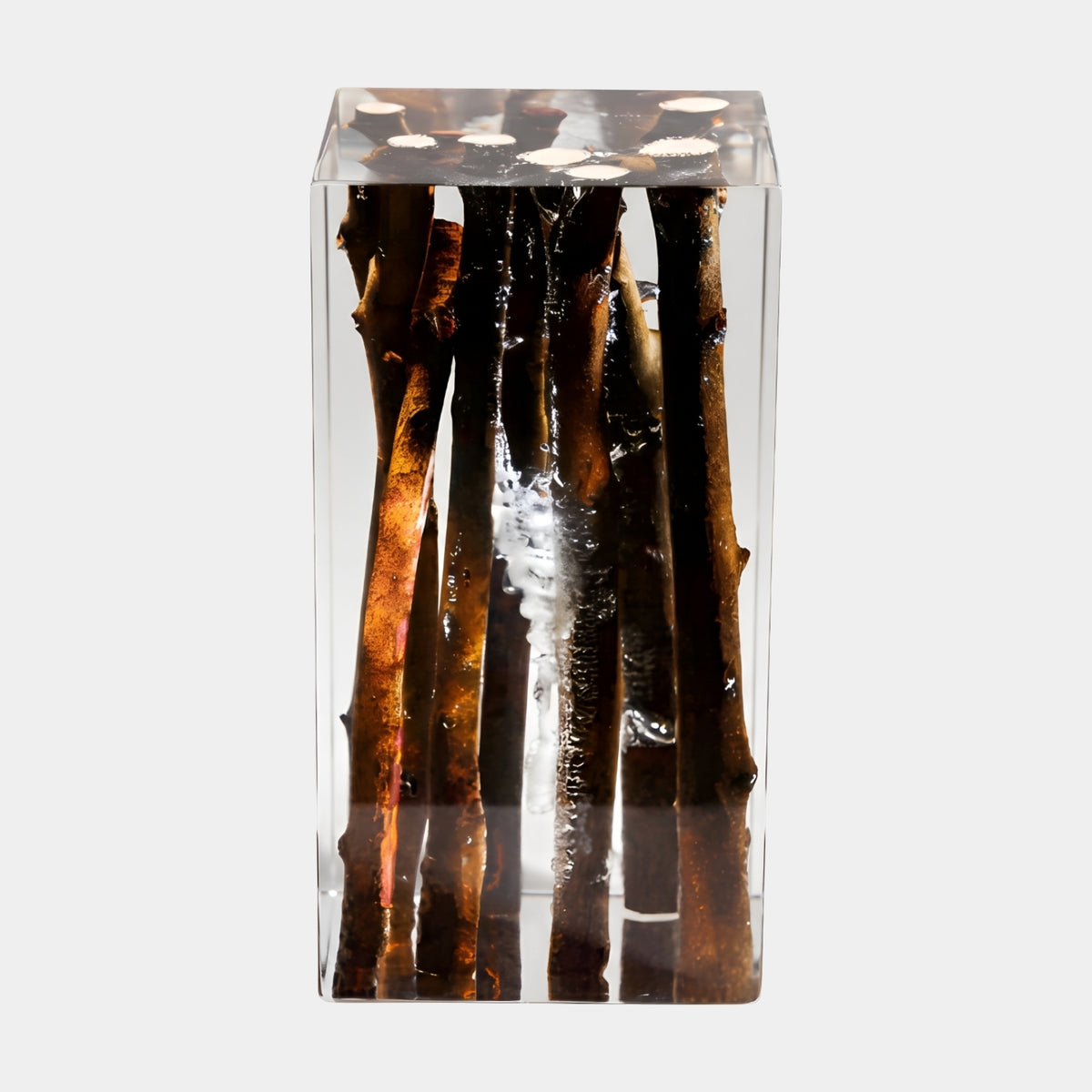 Dark Branch Bundle Clear Resin Block - 31cm, dark split bark branches with rust-orange undertones encased upright in a clear resin block, set against a plain white background.