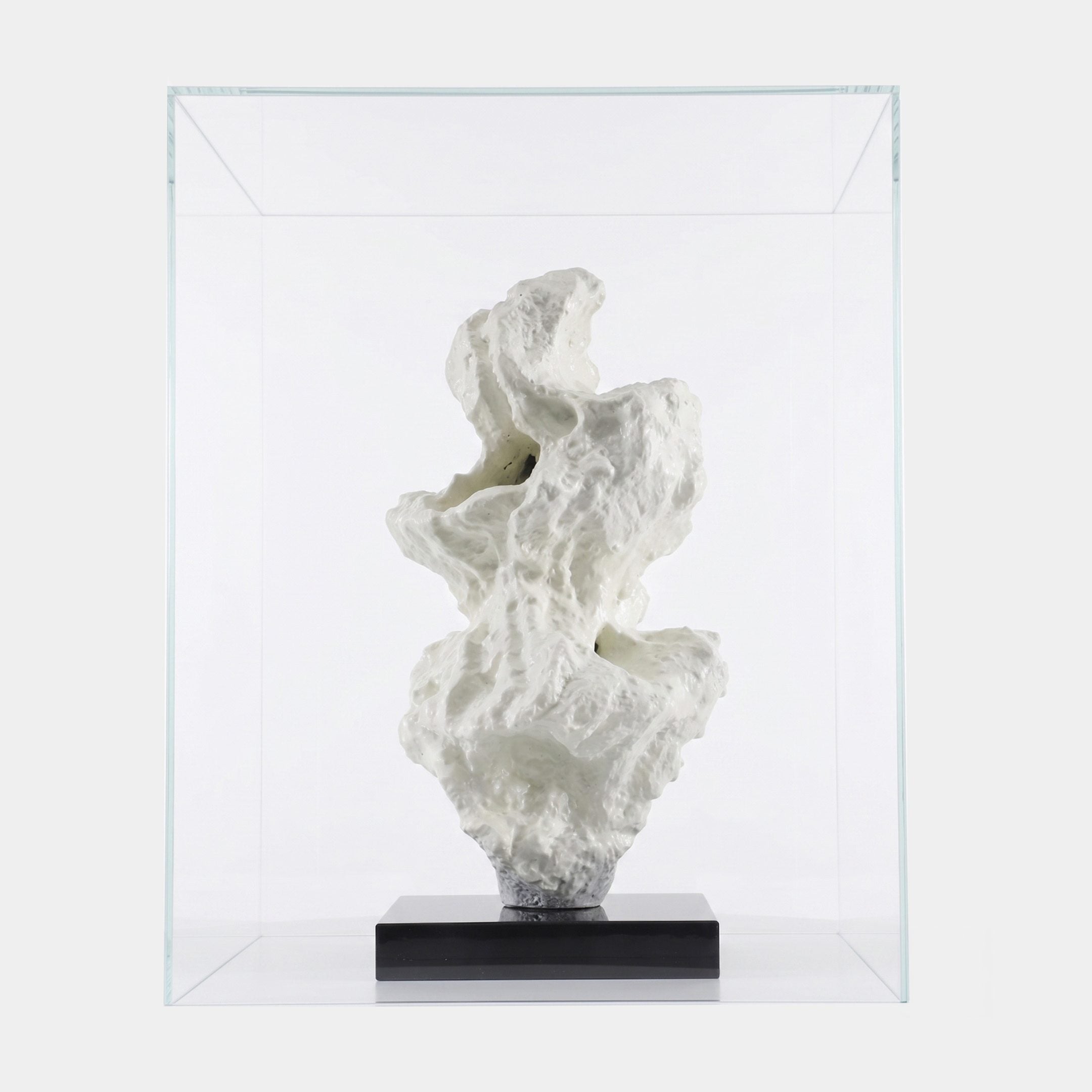 White Abstract Coral Rock sculpture by Giant Sculptures in pierced organic fibreglass form, displayed on a black base inside a clear acrylic case against a plain background.