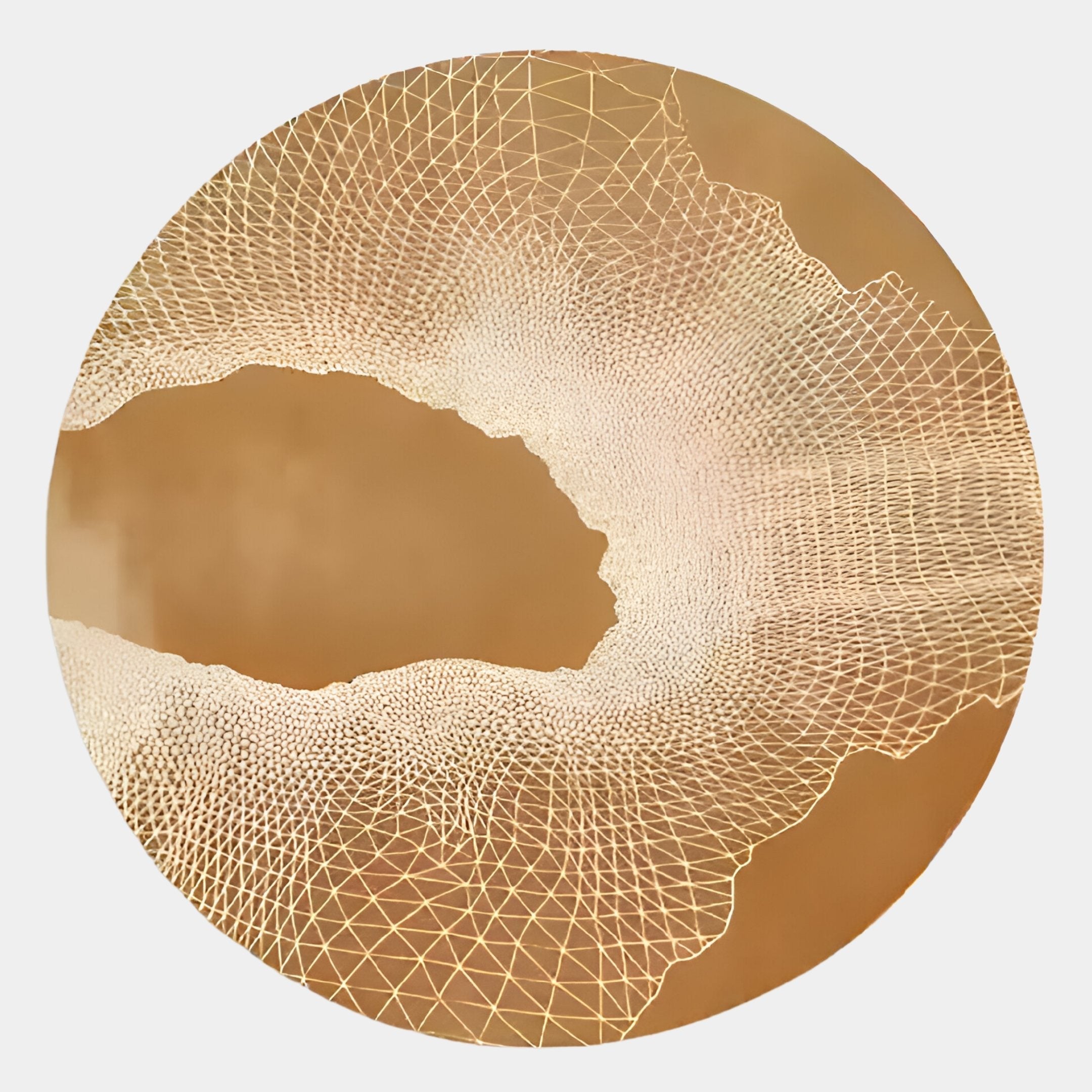 Earthlight Golden Horizon 3D Textured Oil Painting LED Wall Art by Giant Sculptures features a tan backdrop with a white geometric wireframe mesh tunnel, creating a modern, abstract centerpiece for your space.