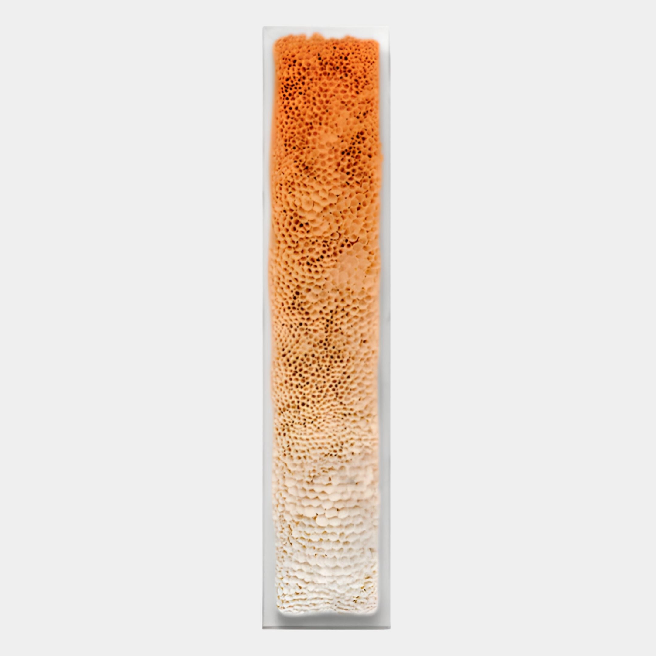 The Aeraline Amber Fade Vertical Gradient Leather 3D Wall Art by Giant Sculptures features a tall, clear rectangular container filled with porous, sponge-like material that fades from light beige to deep orange for a striking display.