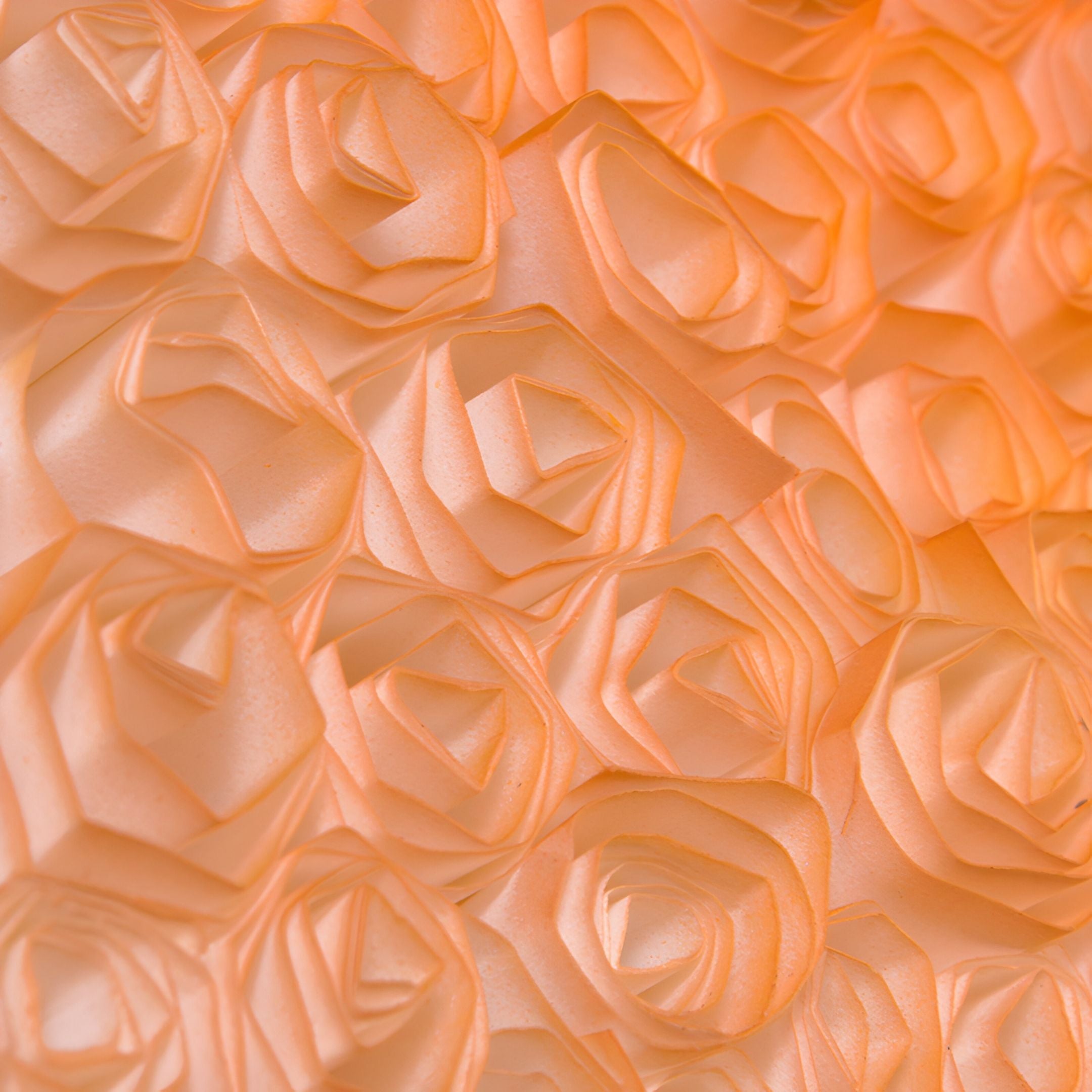 The Lumora Amber Orange Acrylic Framed 3D Paper Wall Art by Giant Sculptures showcases delicate, handmade paper roses in peach tones arranged closely for a textured floral pattern, all set within a sleek acrylic frame.