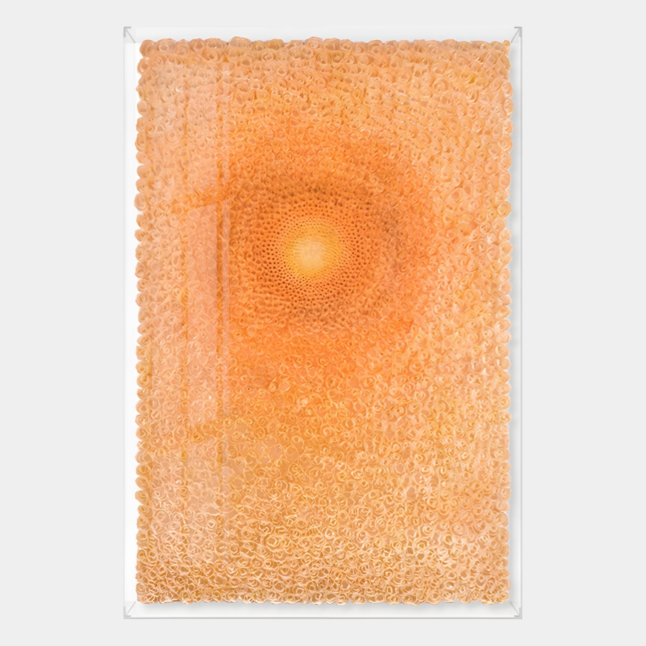The Lumora Amber Orange Acrylic Framed 3D Paper Wall Art by Giant Sculptures showcases hundreds of overlapping, light orange elements in a circular, radiating pattern, creating striking depth against a crisp white background.