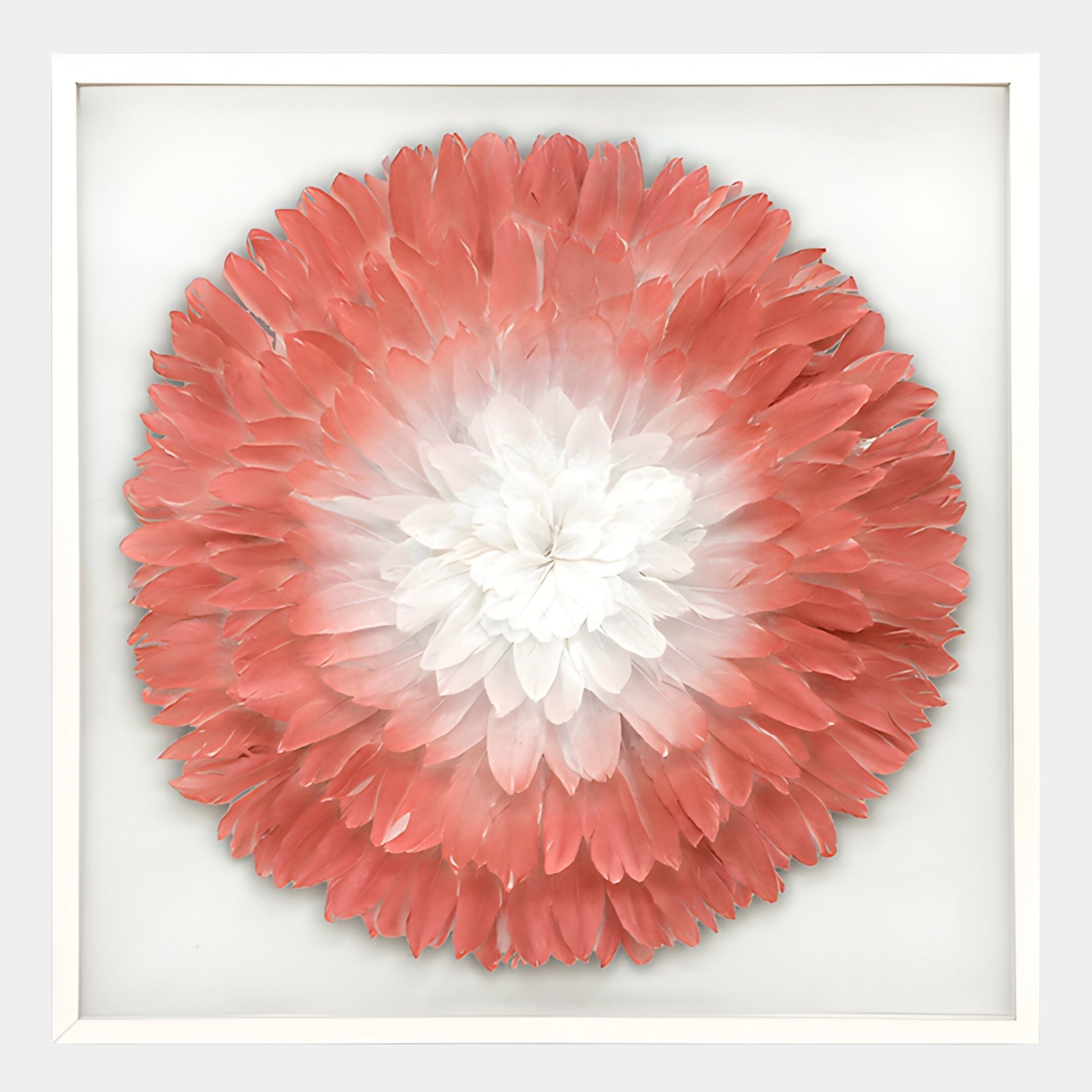 The Plumesse Coral Bloom Layered Feather 3D Wall Art by Giant Sculptures features a large, round flower with layered petals fading from white to coral pink on a plain white background, all elegantly framed.