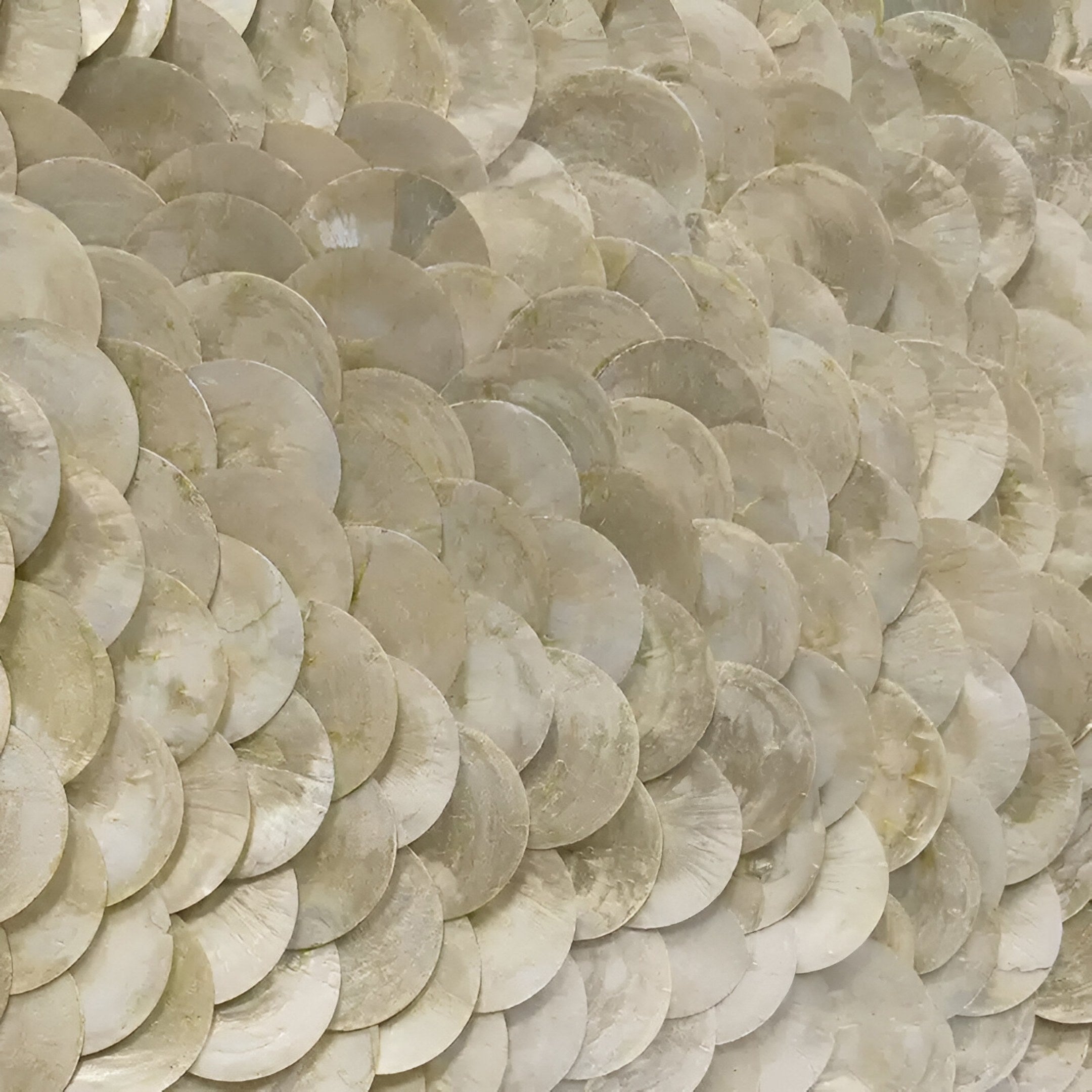 Orraya Golden Shell Disc Layered Framed 3D Wall Art by Giant Sculptures features overlapping, iridescent discs in cream and light gold, arranged in a scale-like pattern for a shimmering, textured golden wall accent.