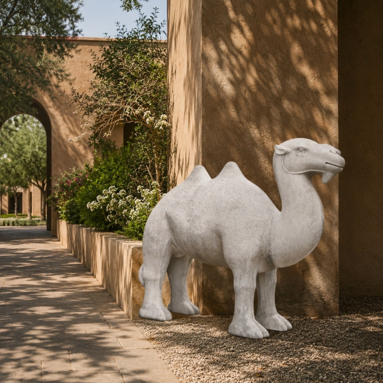 The grey camel standing on gravel against a rendered courtyard wall