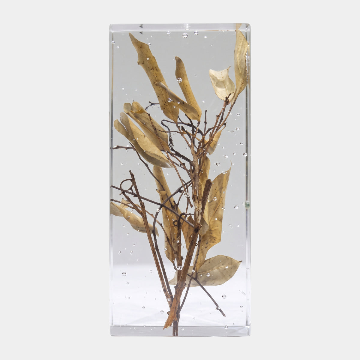 Clear Dried Leaf Sprig Block Resin Sculpture - 20cm