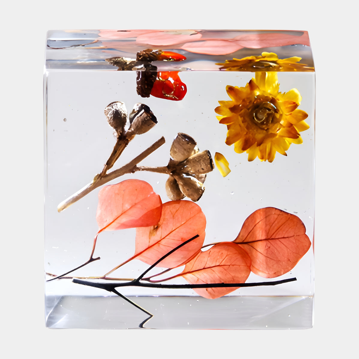 Clear Round Leaf & Seed Capsule Block Resin Sculpture - 13cm