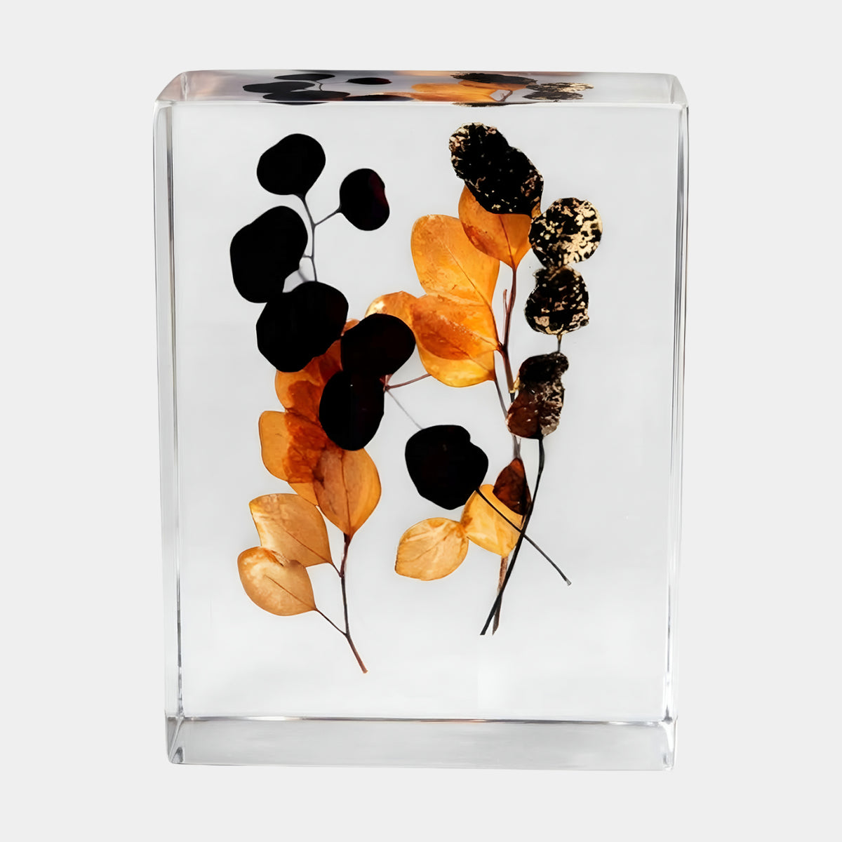 Clear Dark Disc & Amber Leaf Block Resin Sculpture - 42cm