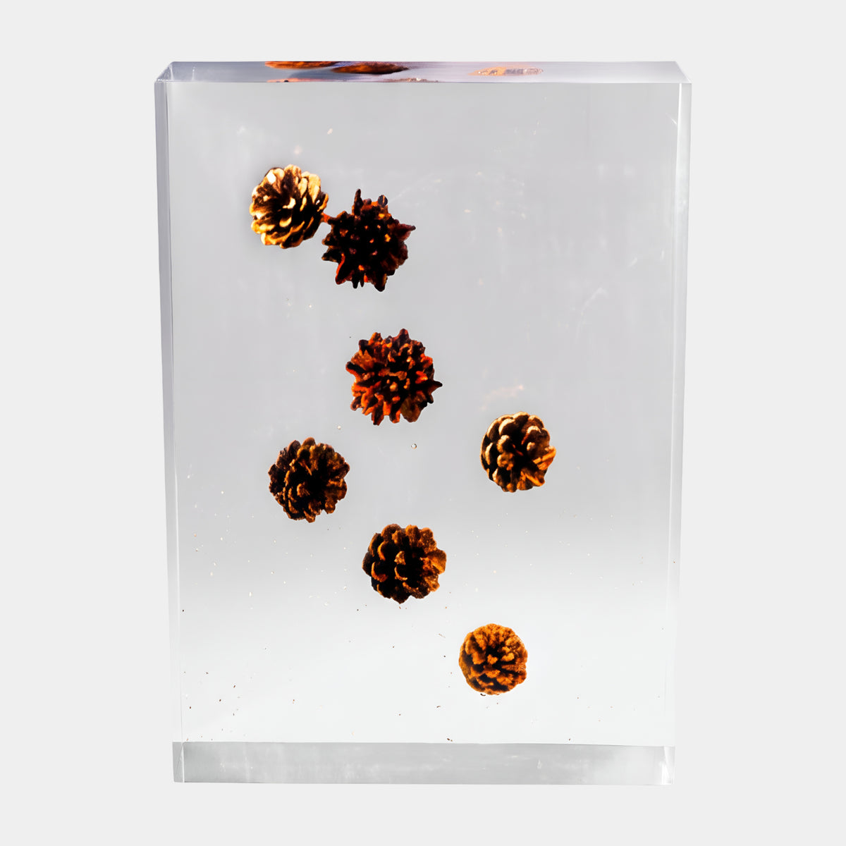Clear Floating Pine Cone Block Resin Sculpture - 41cm
