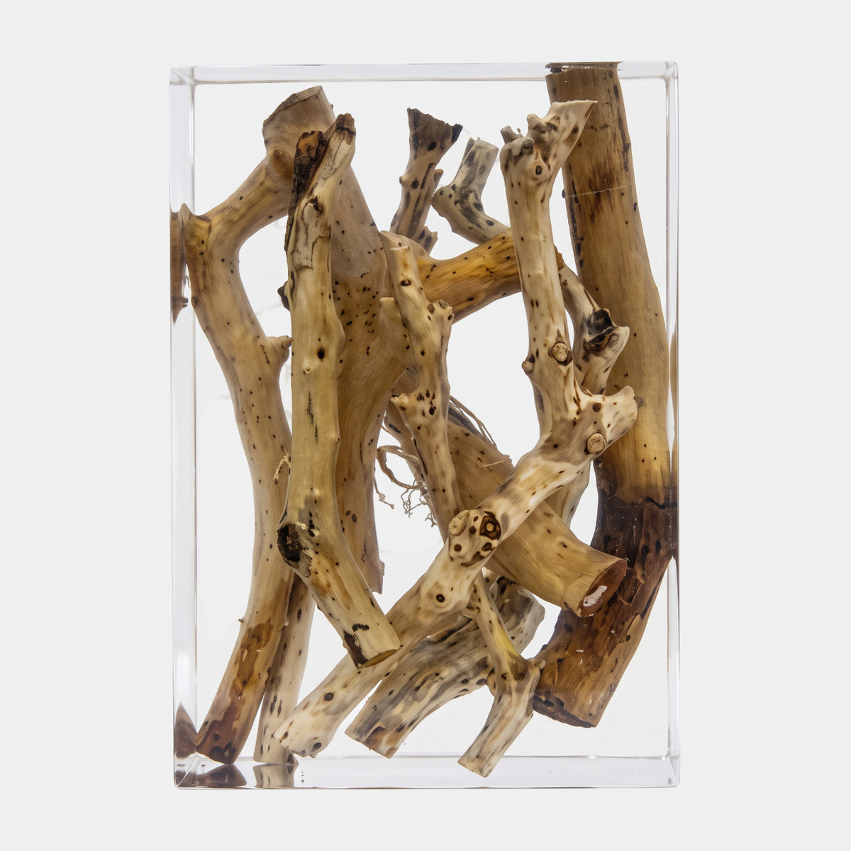 Clear Pale Knotted Branch Block Resin Sculpture - 39cm