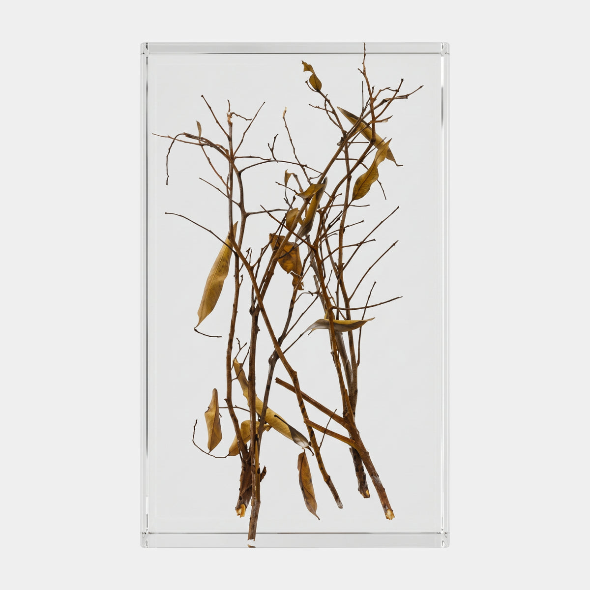 Clear Leafy Twig Thicket Block Resin Sculpture - 39cm