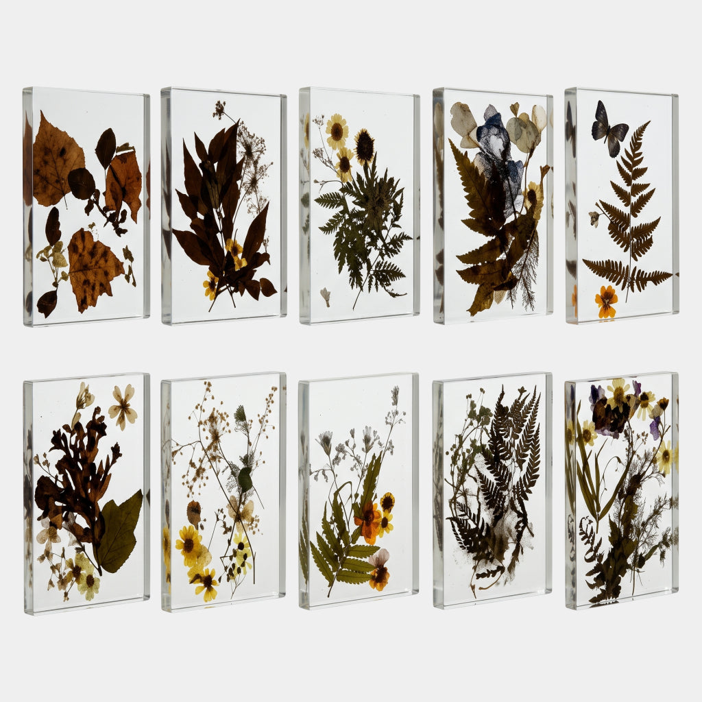 Clear Pressed Botanical Panel Resin Sculpture - 24cm