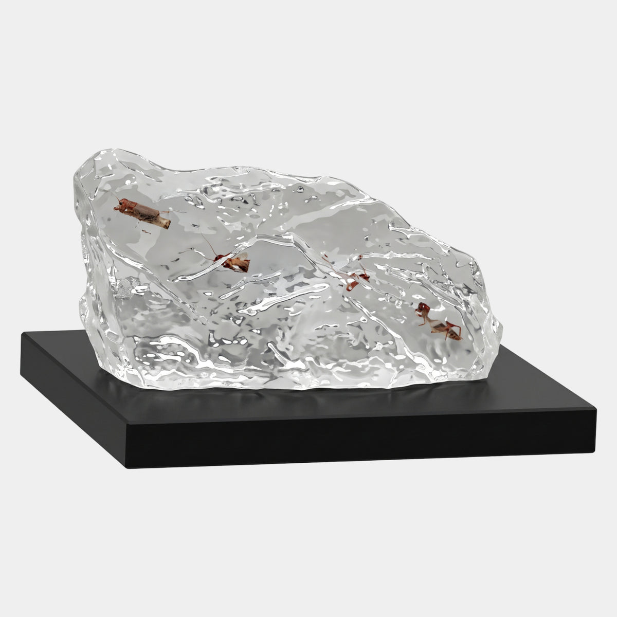 Clear Insect Wedge Rock Resin Sculpture on Black Base - 40cm
