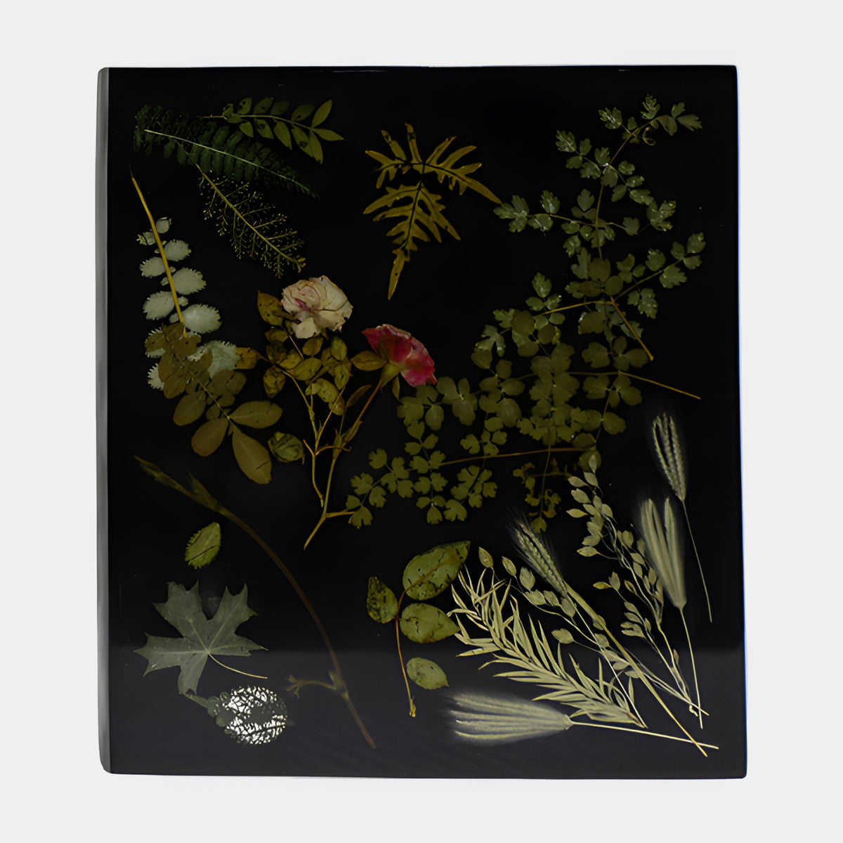 Black Pressed Botanical Collage Panel Resin Sculpture - 26cm