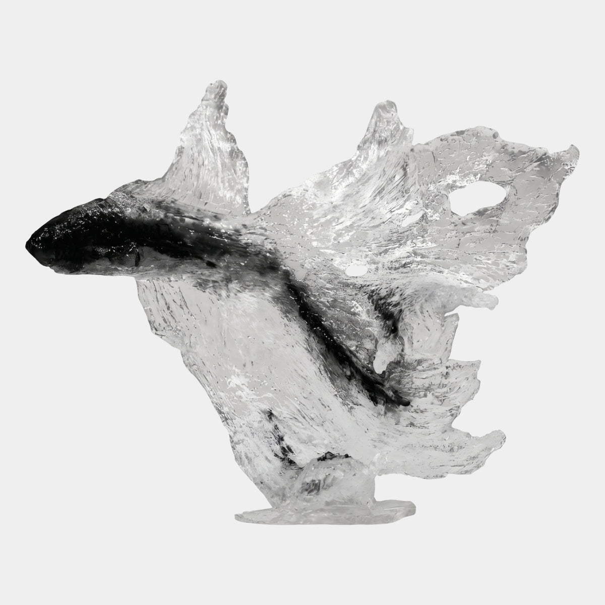 Smoked Clear Veiltail Fish Resin Sculpture, 72cm, with a dark smoky body and flowing clear trailing fins, shown on a plain white background.
