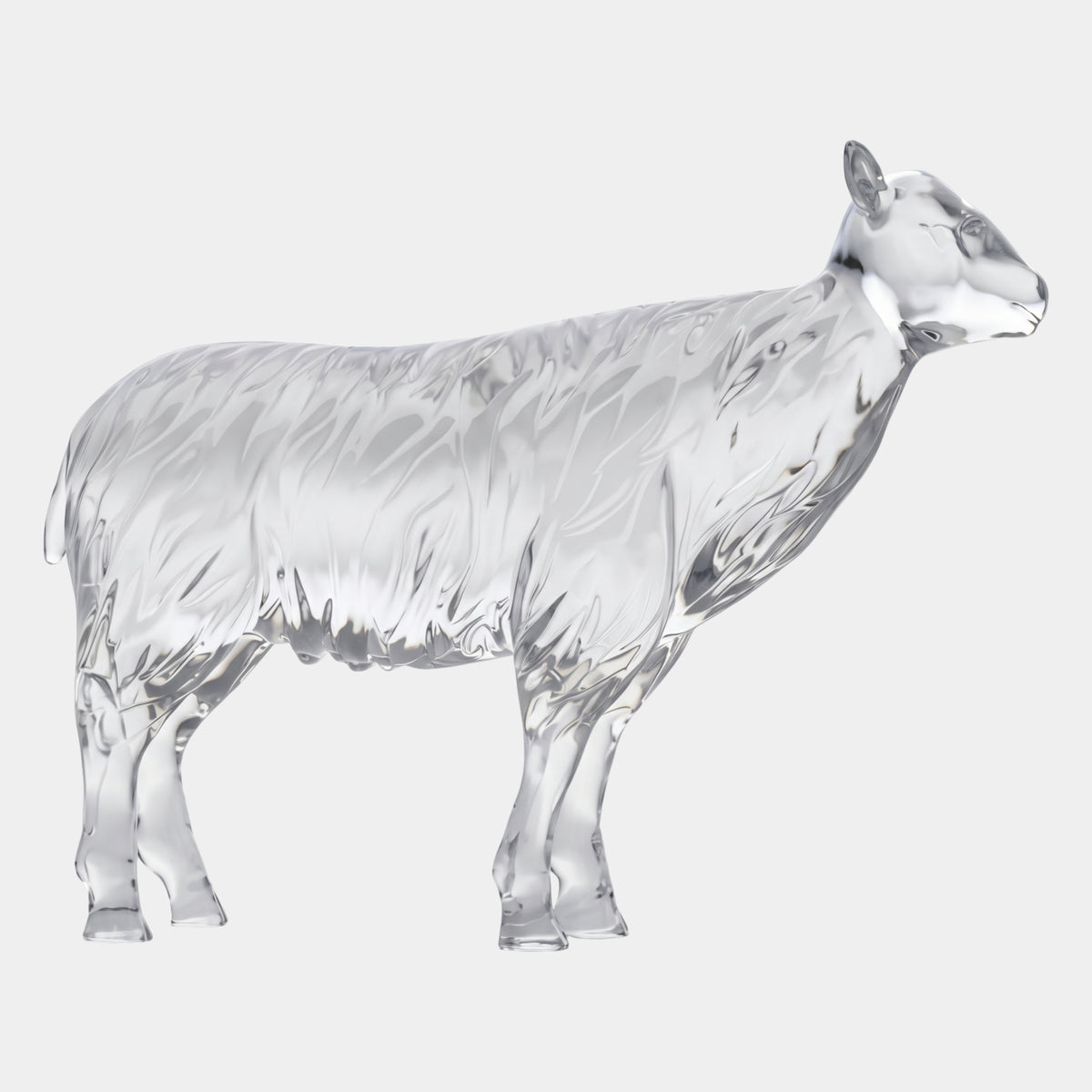 Clear Rippled-Fleece Ewe Resin Sculpture - 80cm, a hornless ewe standing with head raised, smooth face and legs, rippled fleece texture, shown on a plain white background.