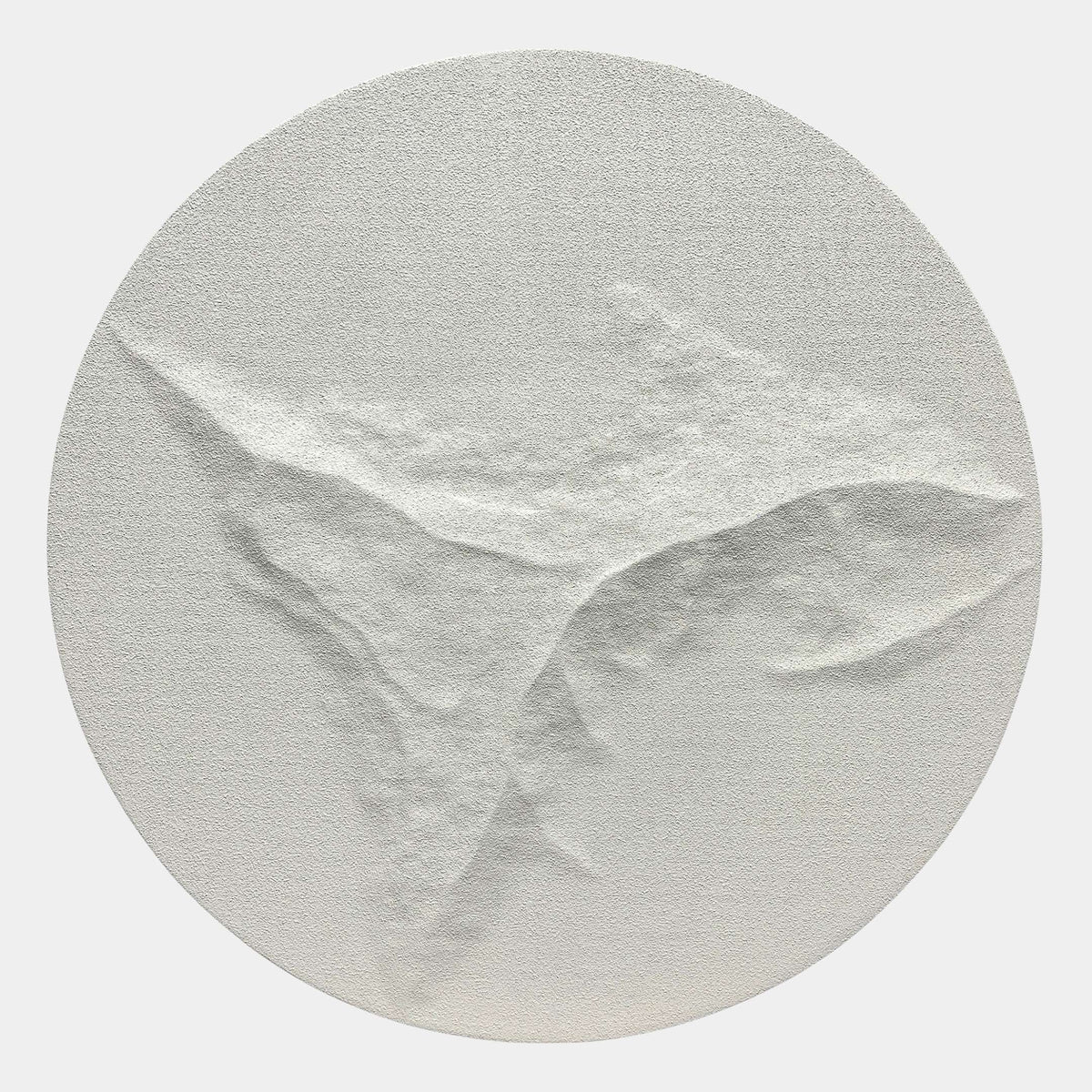 Selene V White Sandstone Textured 3D Wood Relief Wall Art, round disc with abstract eroded surface in white tones, shown on a plain light background.