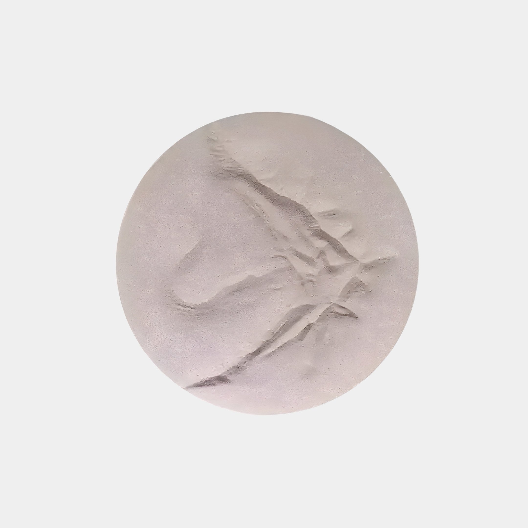 The Selene I White Sandstone Textured 3D Wood Relief Wall Art by Giant Sculptures features a round, pale surface with irregular raised formations and textured patterns like sandstone, set against a plain white background, creating an exquisite wall piece.