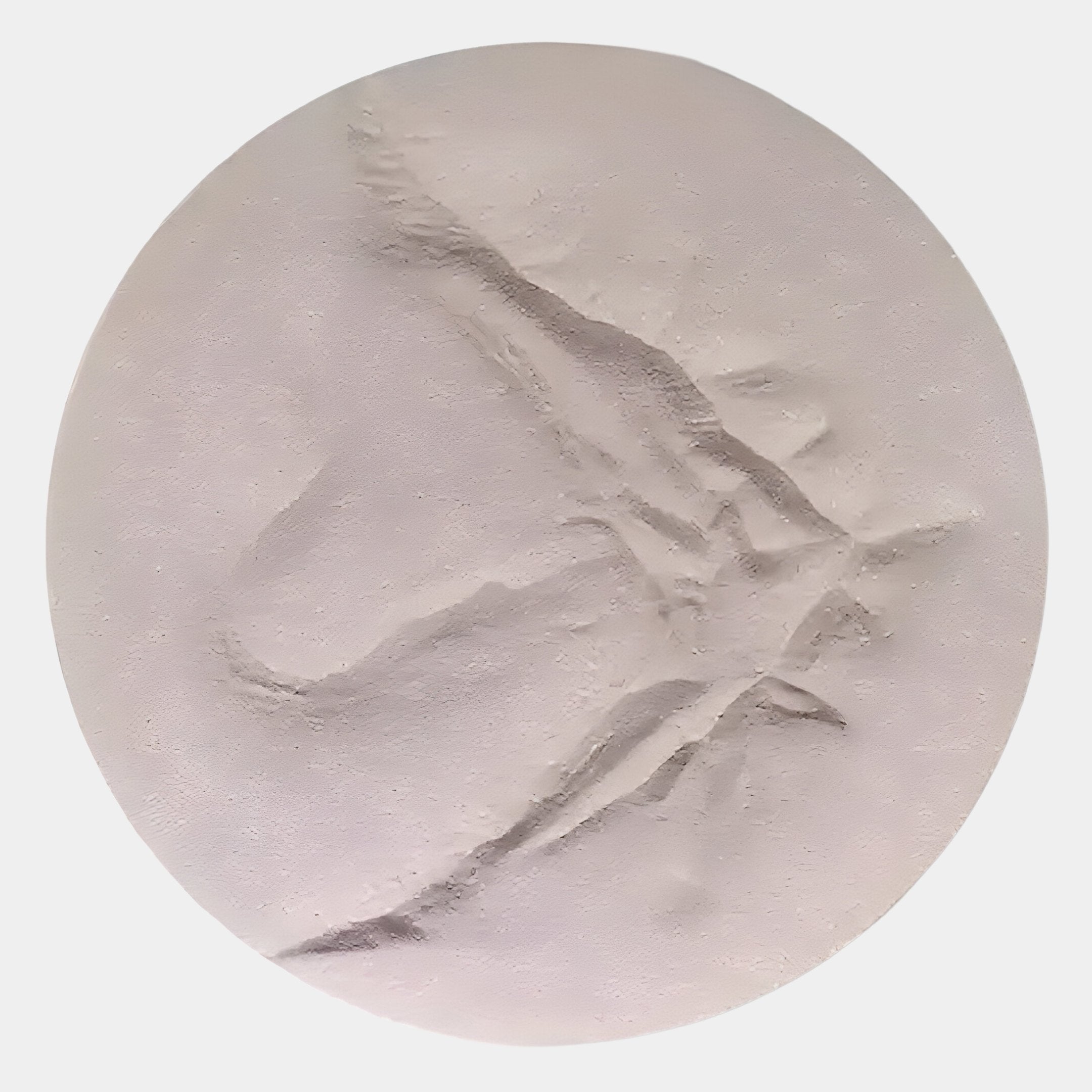 The Selene I White Sandstone Textured 3D Wood Relief Wall Art by Giant Sculptures features a round, white sandstone-like surface with a subtle raised abstract bird or dinosaur form—an elegant addition to any space.