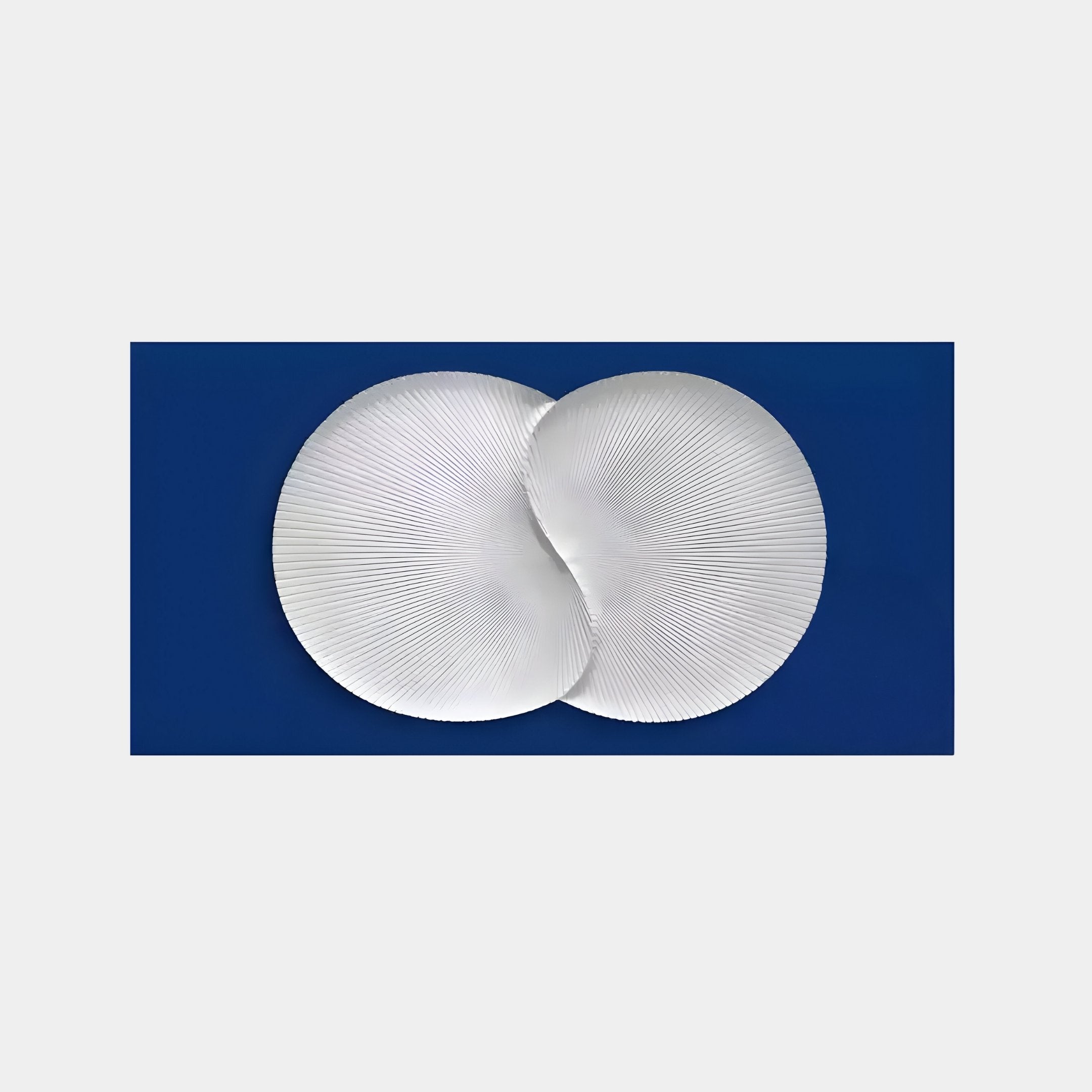 Two white, textured circles overlap centrally on a dark blue background, embodying the minimalist style of Giant Sculptures Artivio Blue & White Wood Relief 3D Wall Art, with intricate lines radiating from the center in abstract form.