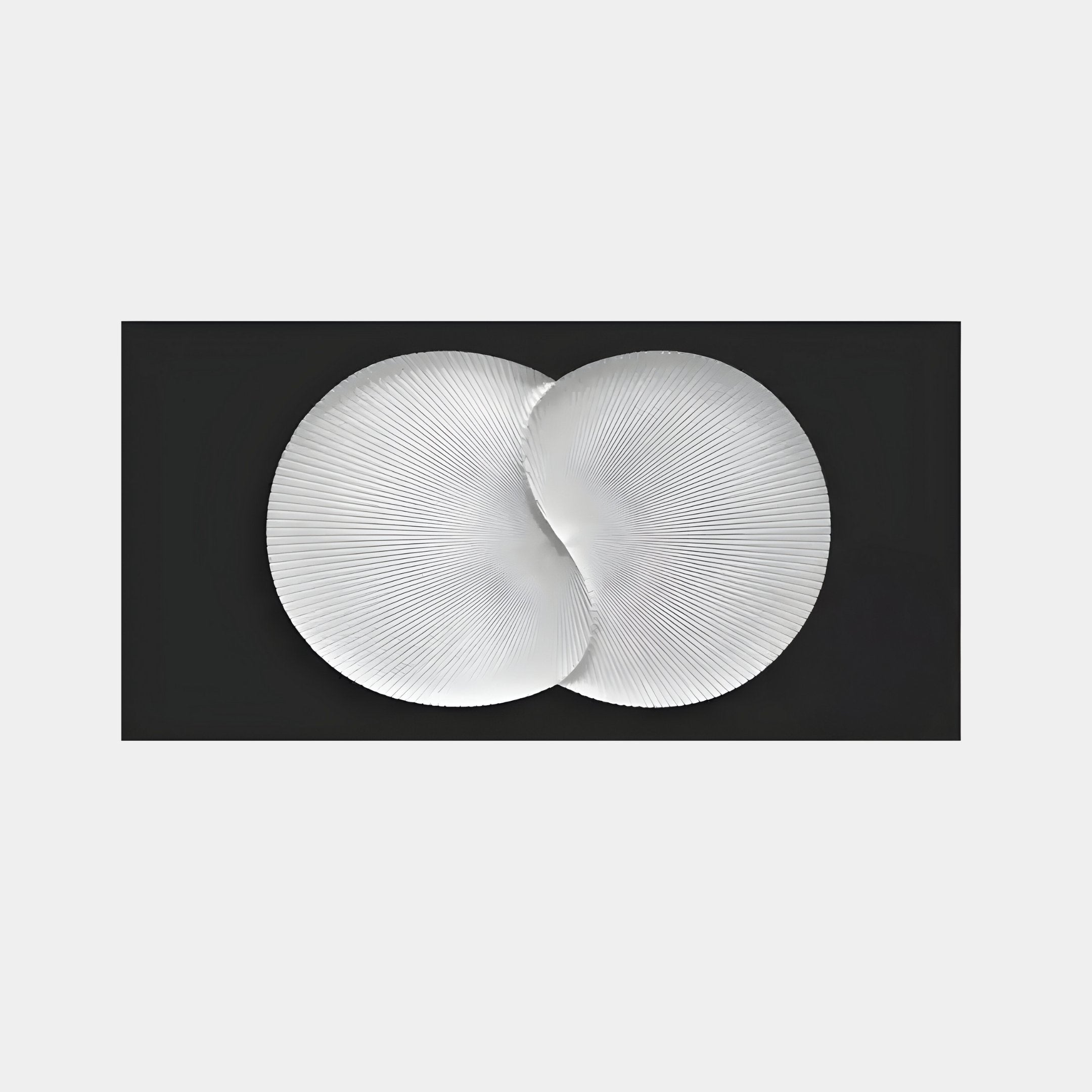 The Artivio Black & White Wood Relief 3D Wall Art by Giant Sculptures captivates with its intersecting circular, ribbed shapes. This minimalist piece radiates fine spokes outward on a dark background, exuding geometric elegance for any space.