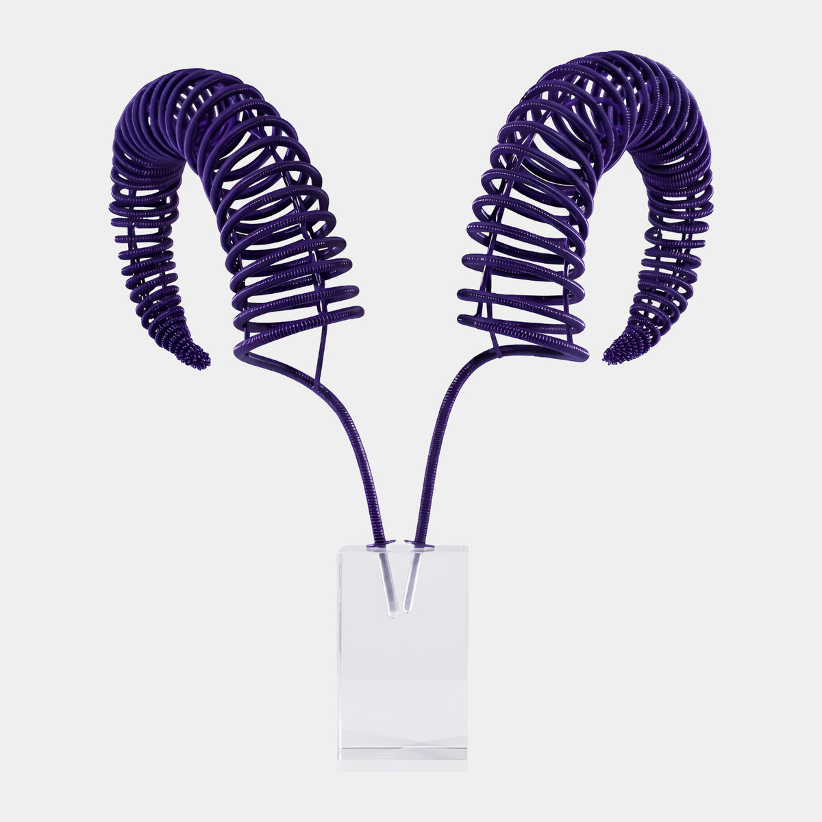 Purple Coiled Form Resin Sculpture - 60cm, two ram-horn-like coils on slender stems set into a clear block, shown against a plain white background.