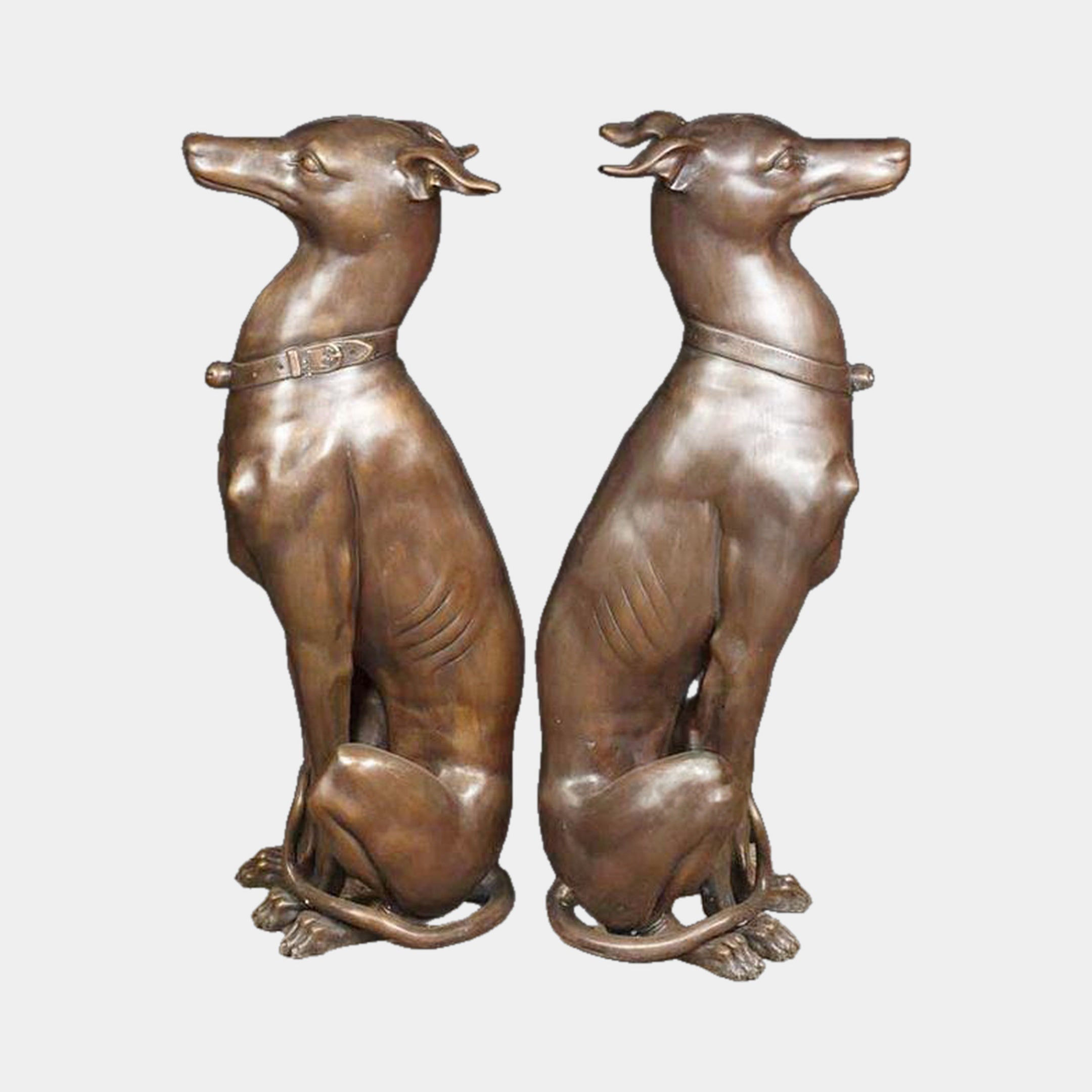 Classical Seated Greyhound Pair Bronze Sculpture by Giant Sculptures, two mirror-image dogs with studded collars and warm brown patina on a plain background.