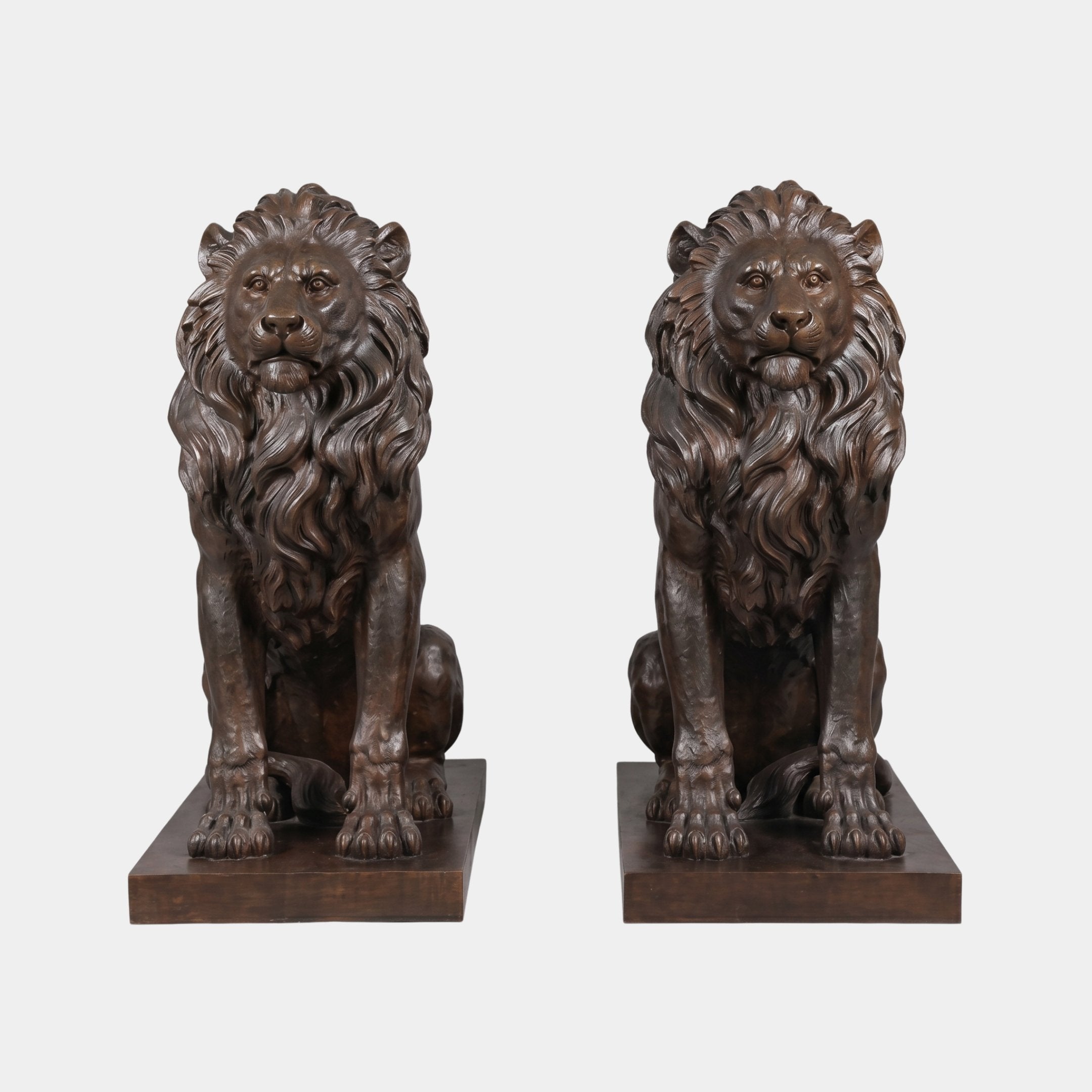 Pair of Large Classical Seated Lions Bronze Sculptures by Giant Sculptures, 130cm tall with dark brown patina, shown front-facing on rectangular plinths against white.