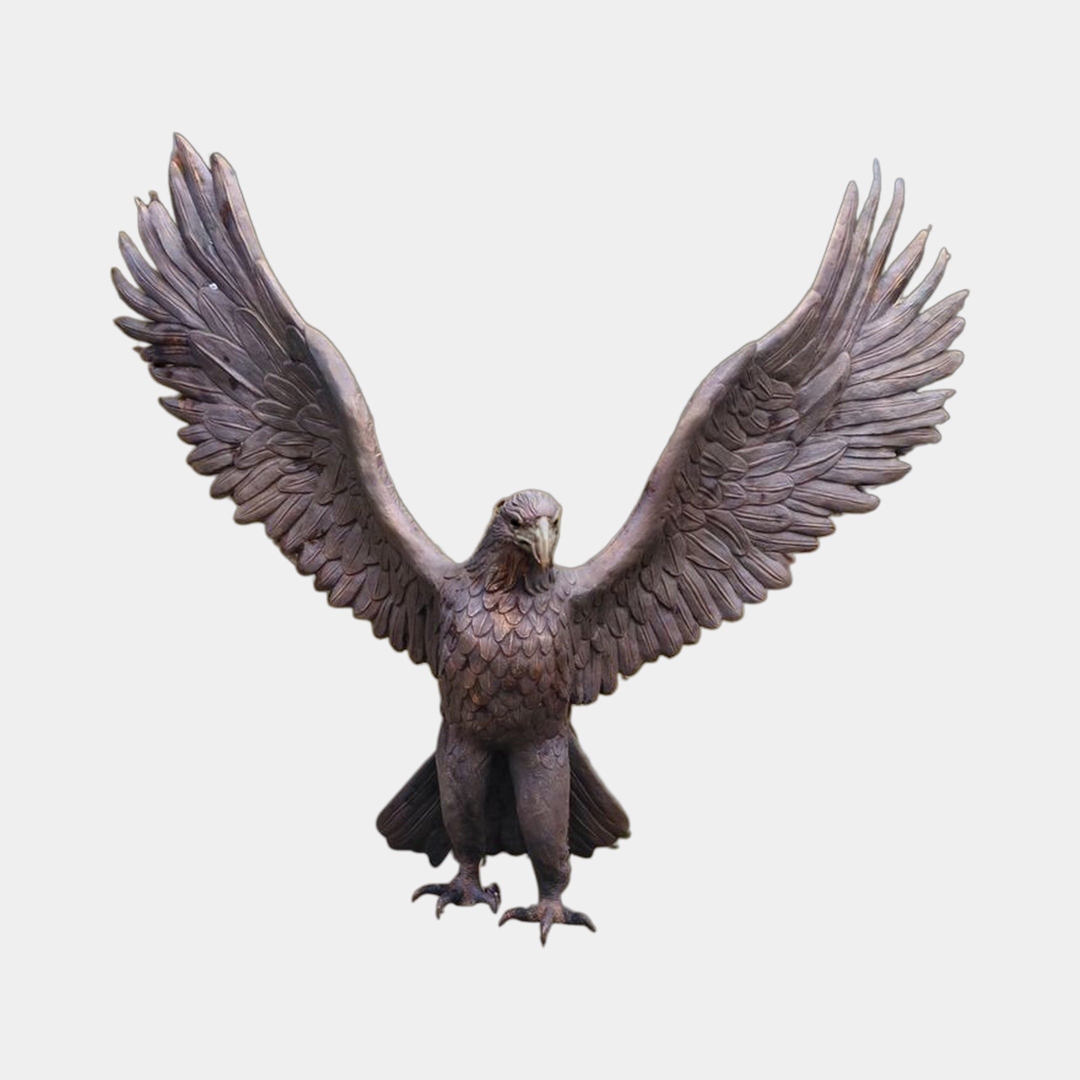 Large Traditional Eagle Bronze Sculpture by Giant Sculptures, 180cm, front view with wings fully spread and talons gripping, dark brown patina, plain background.