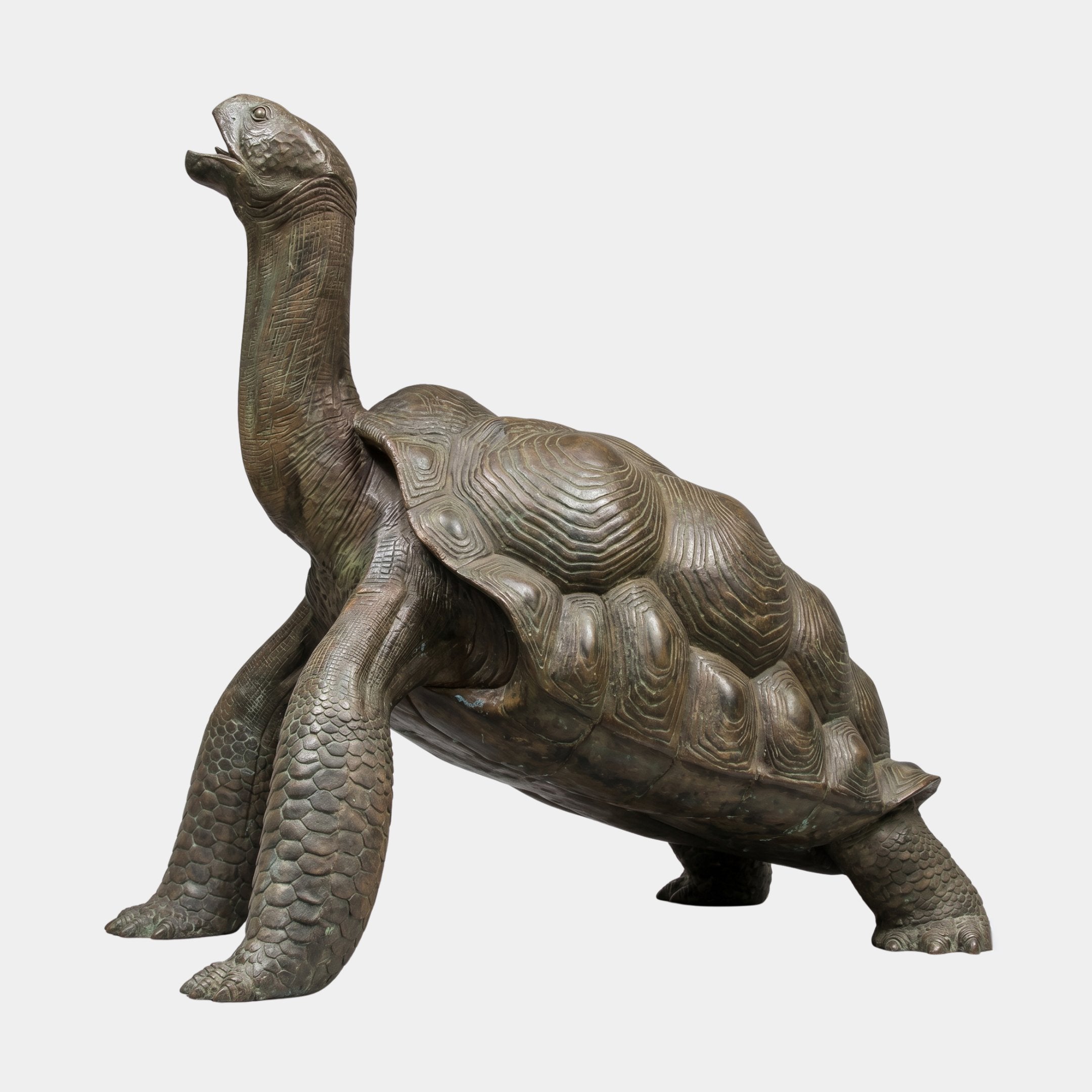 Giant Sculptures Large Traditional Giant Tortoise Bronze Sculpture 200cm, side view with neck raised skyward mid-stride, brown-grey patina, plain background.