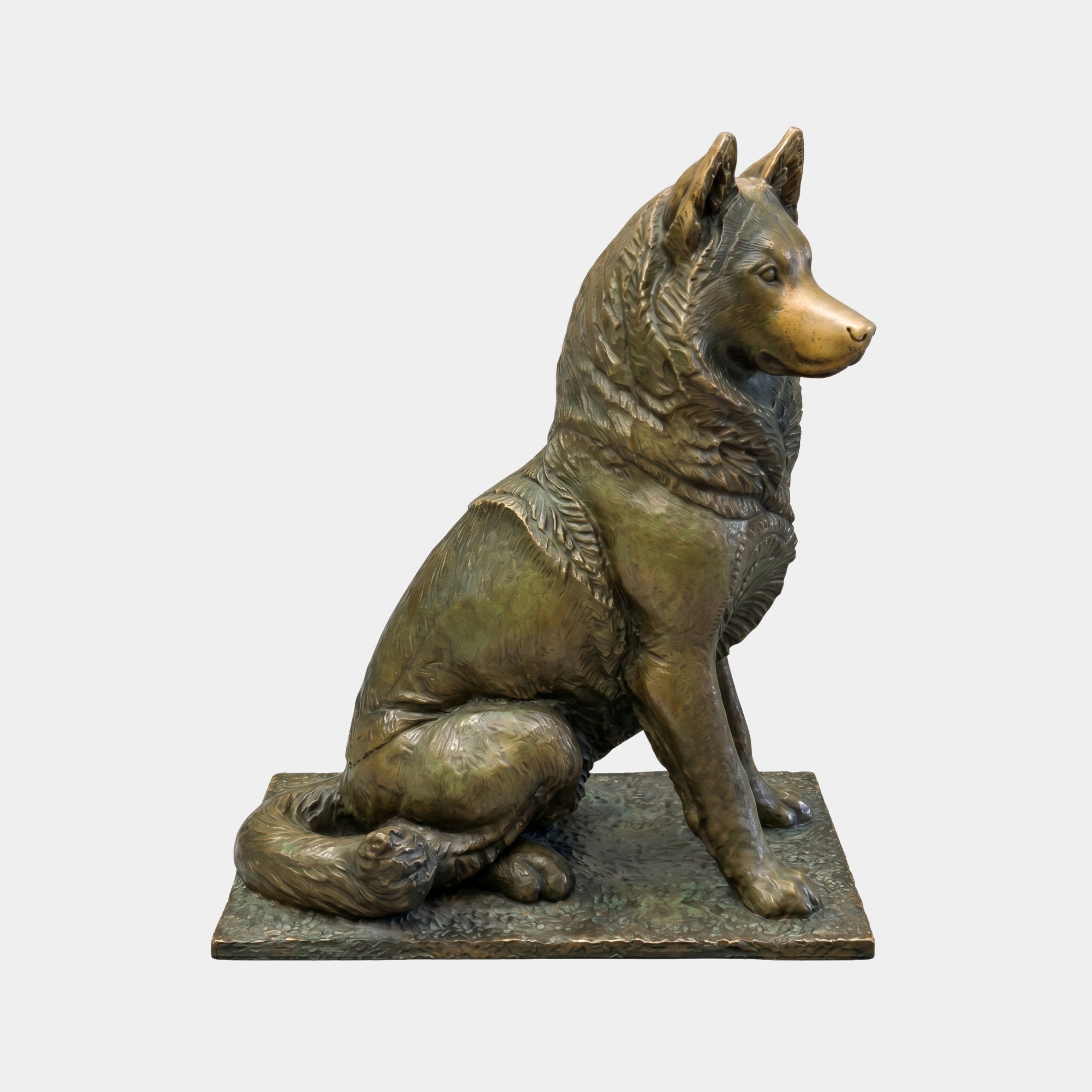 Large Traditional Seated Husky Dog Bronze Sculpture by Giant Sculptures, shown in side profile with warm brown patina and golden muzzle on a textured base.
