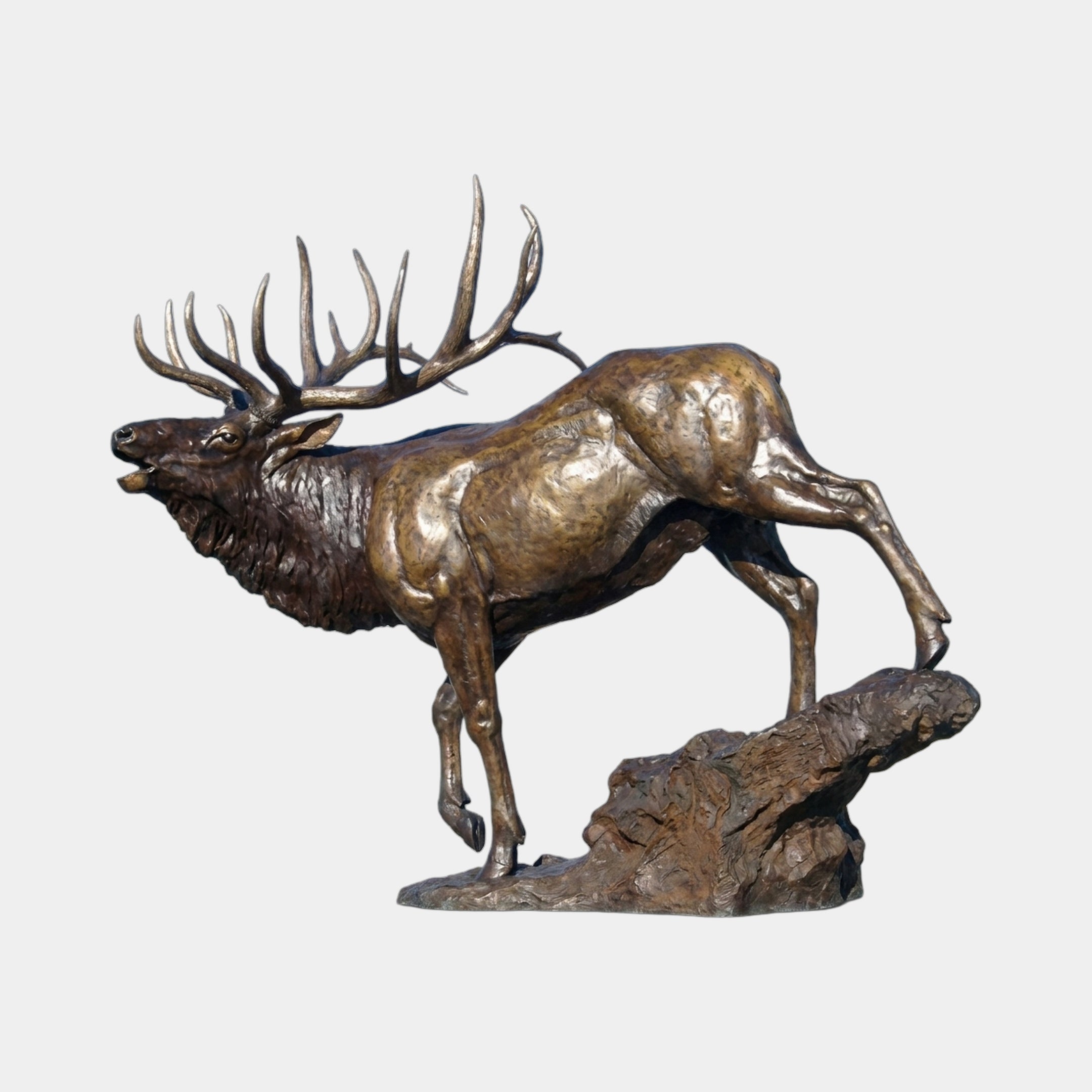 Giant Sculptures Life-Size Bull Elk Striding Bronze Sculpture in warm golden-brown patina, shown in side view bugling with raised antlers, mounted on a rocky base.