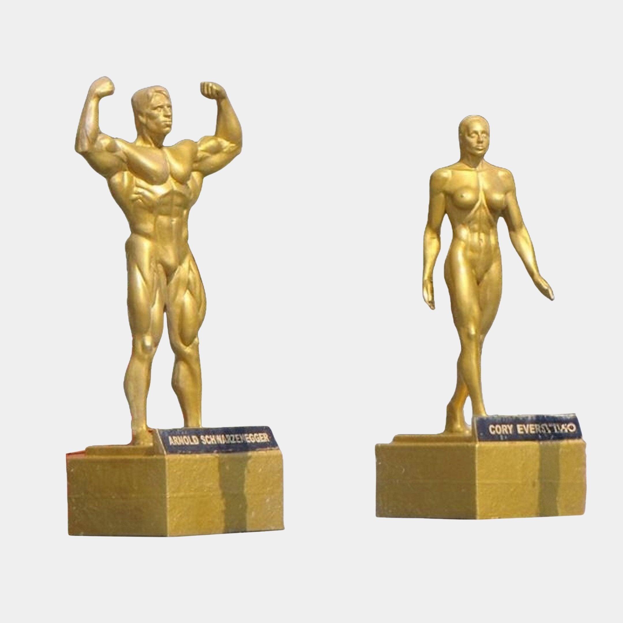 Life-Size Classical Muscular Nude Pair Bronze Sculpture in gold finish by Giant Sculptures, showing male flexing biceps and female figure on labelled plinths.