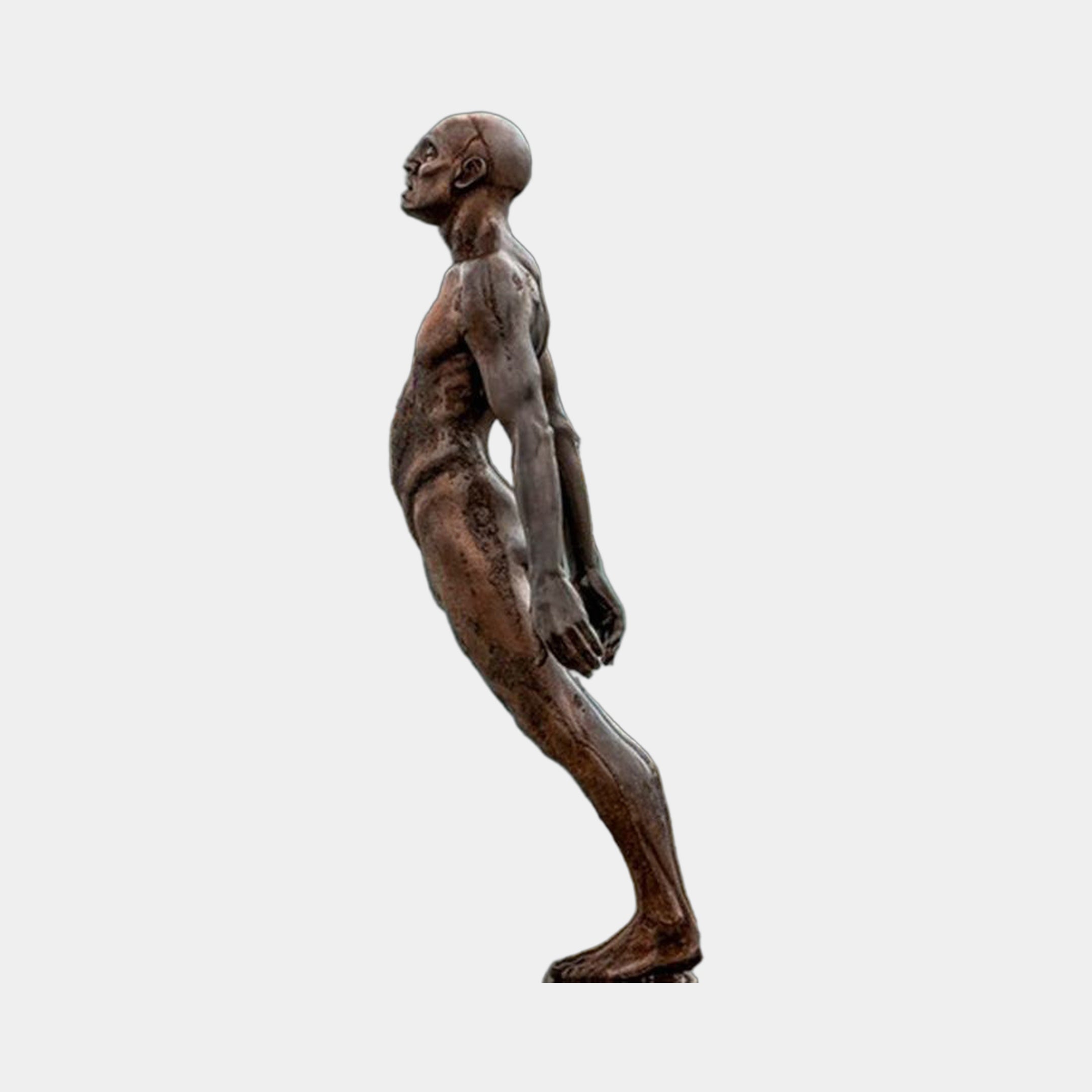 Life-Size Contemporary Diver Bronze Sculpture by Giant Sculptures, 310cm, side view of a nude male figure leaning forward with head tilted back, warm reddish-brown patina, plain light background.
