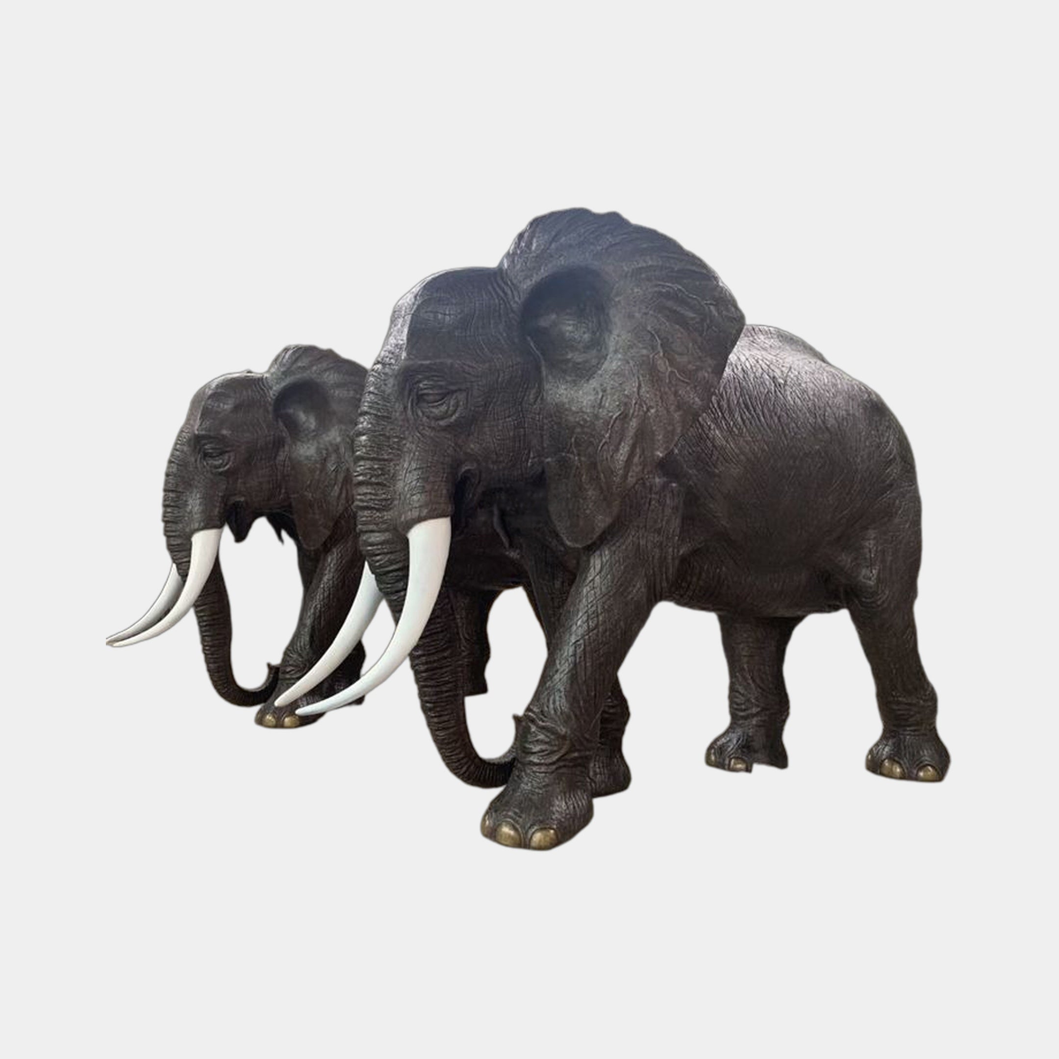Life-Size Pair of African Elephants Bronze Sculpture by Giant Sculptures, two 280cm dark patinated elephants with white tusks, shown side by side on plain background.