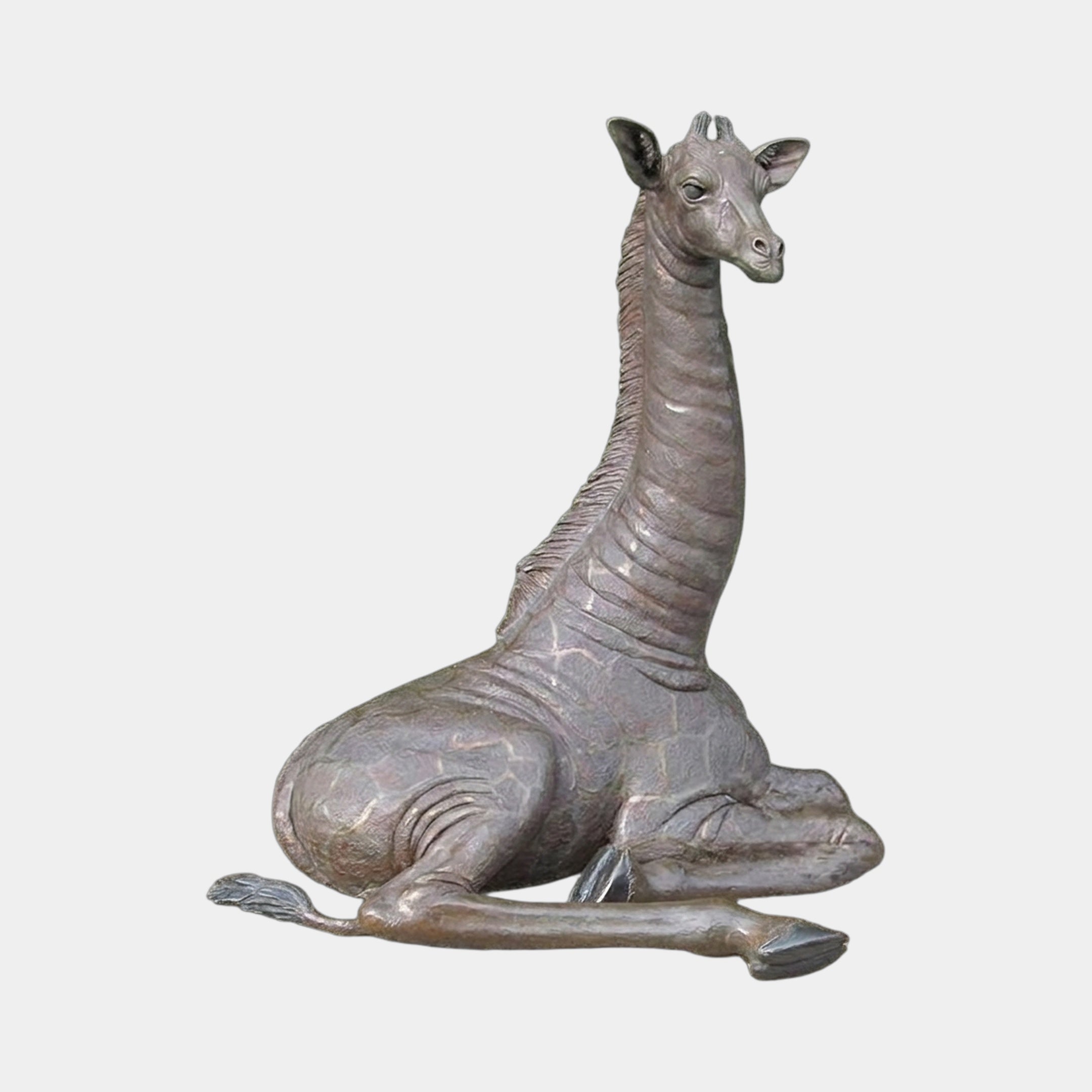 Life-Size Resting Baby Giraffe Bronze Sculpture by Giant Sculptures, 120cm, shown in a folded-leg resting pose with upright neck and dark brown patina.